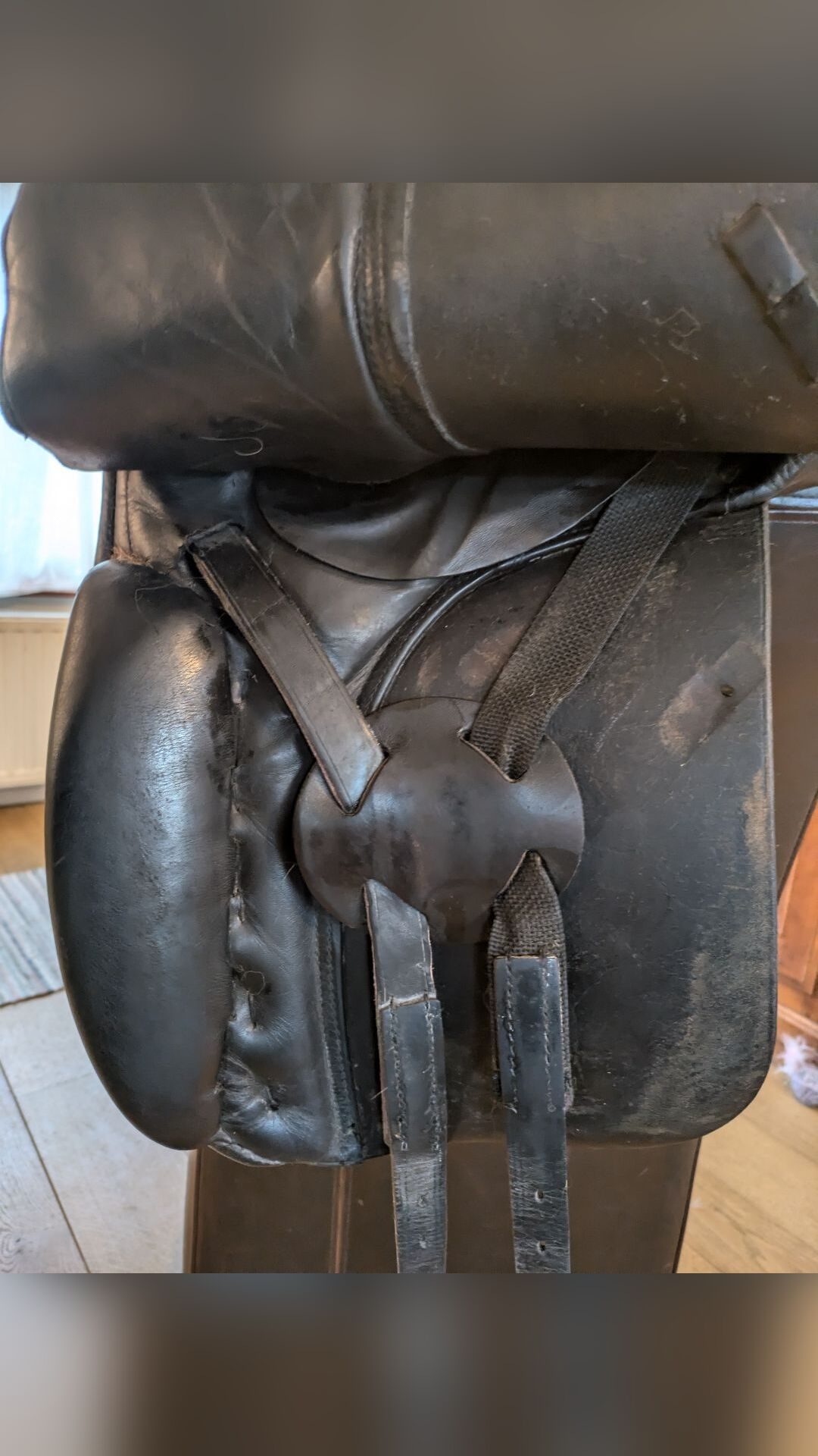 Selle dressage, média 5
