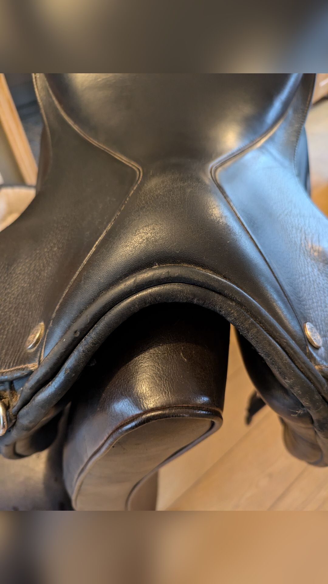 Selle dressage, média 6