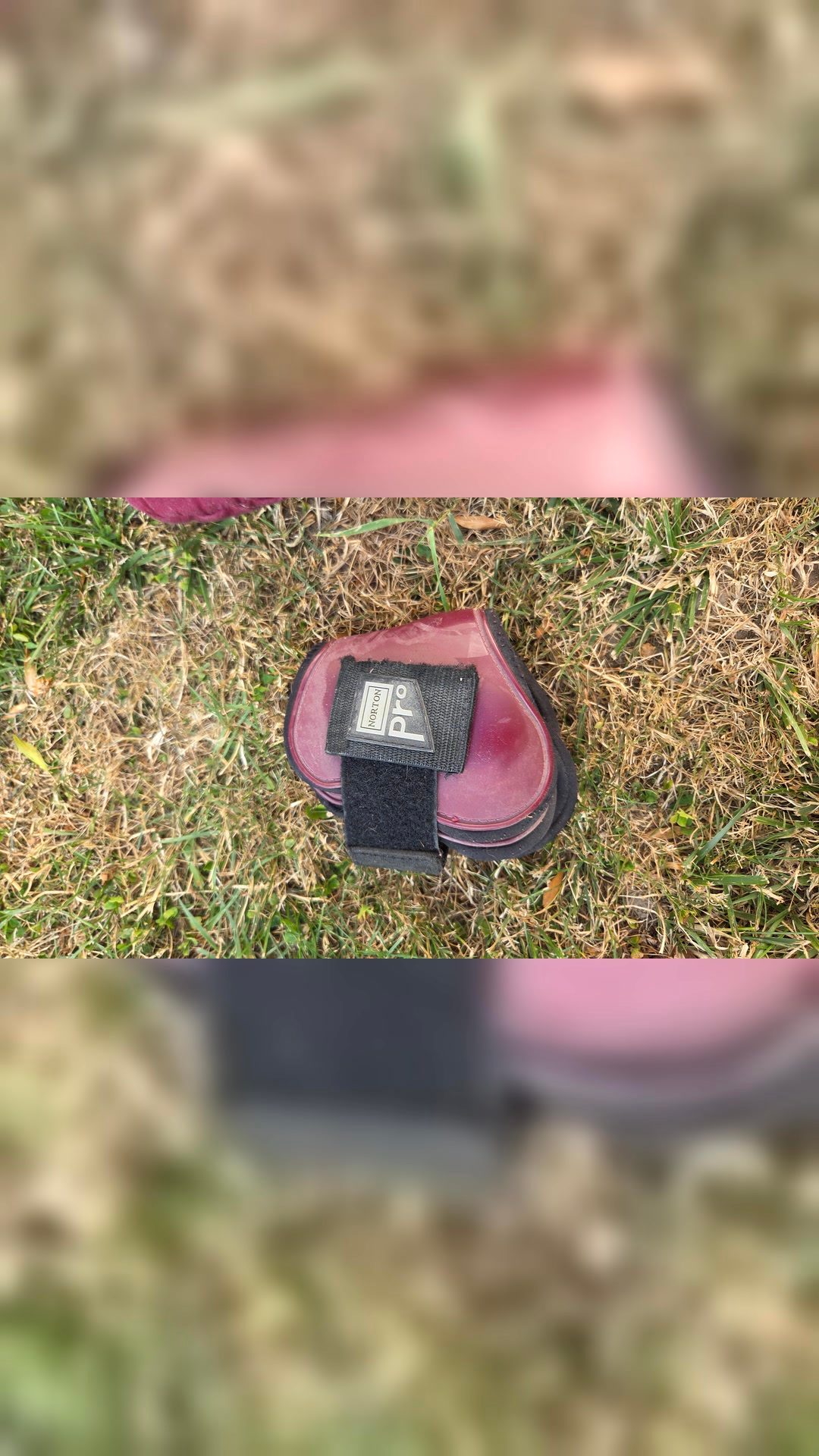 Tapis de selle bordeaux et accessoires, média 2