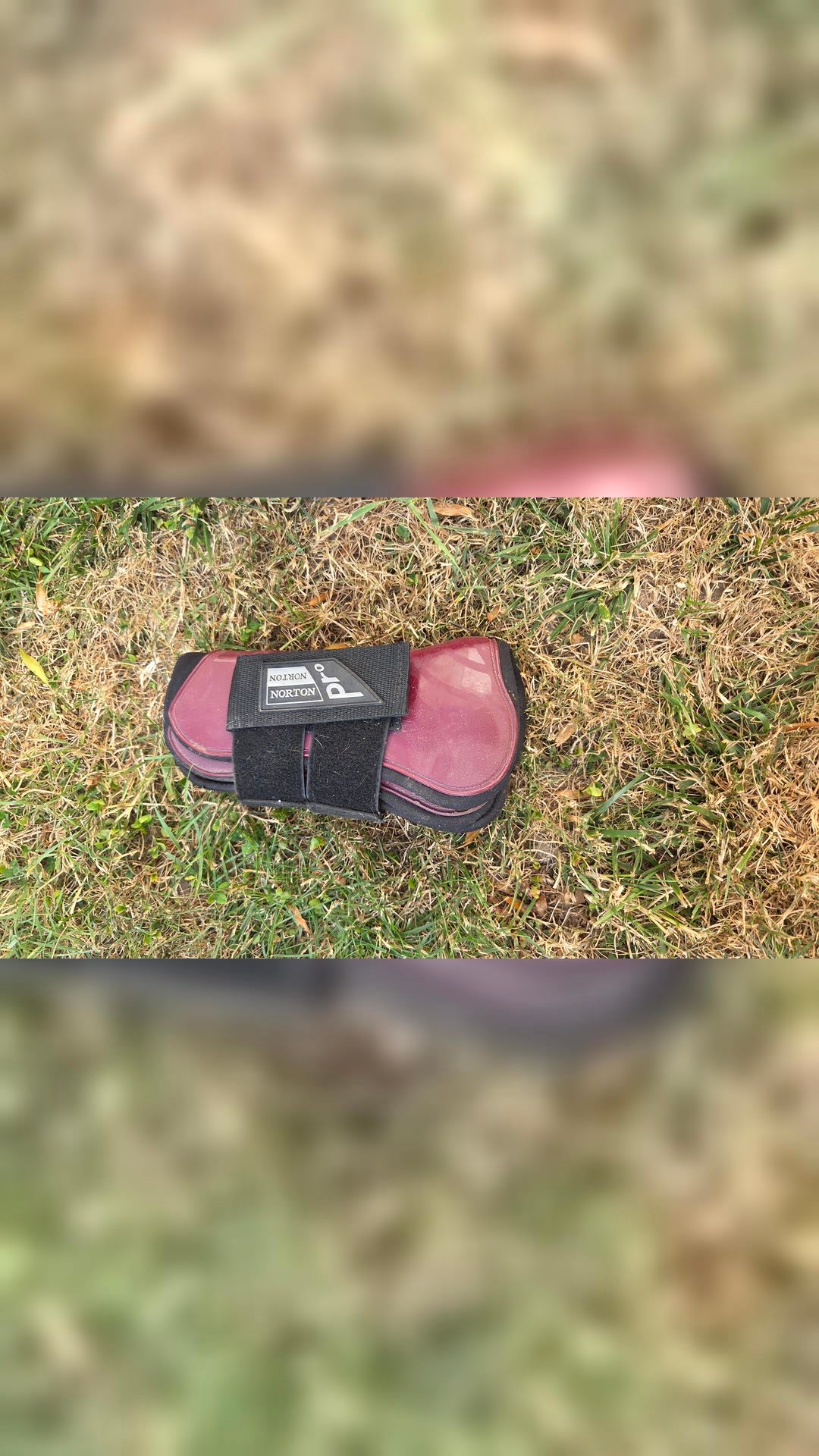 Tapis de selle bordeaux et accessoires, média 3