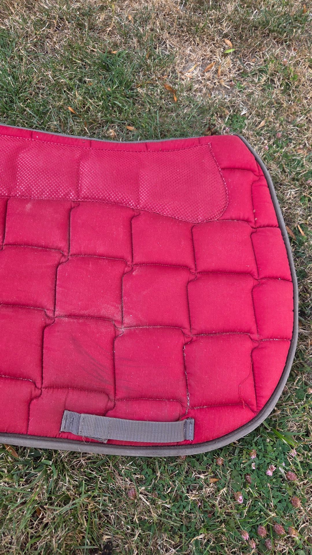 Tapis de selle rouge et bandes, média 3