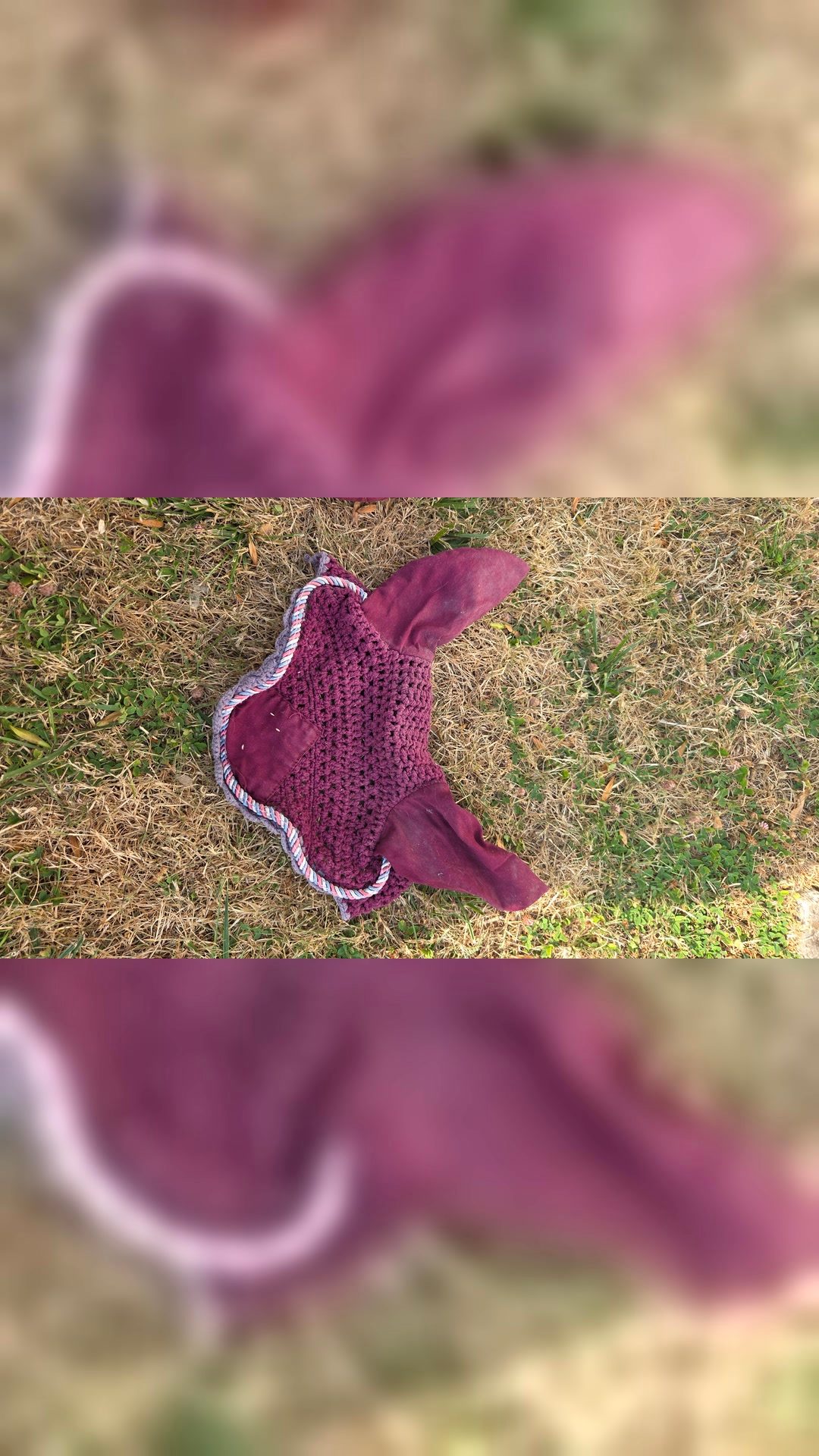Tapis de selle bordeaux et accessoires, média 4