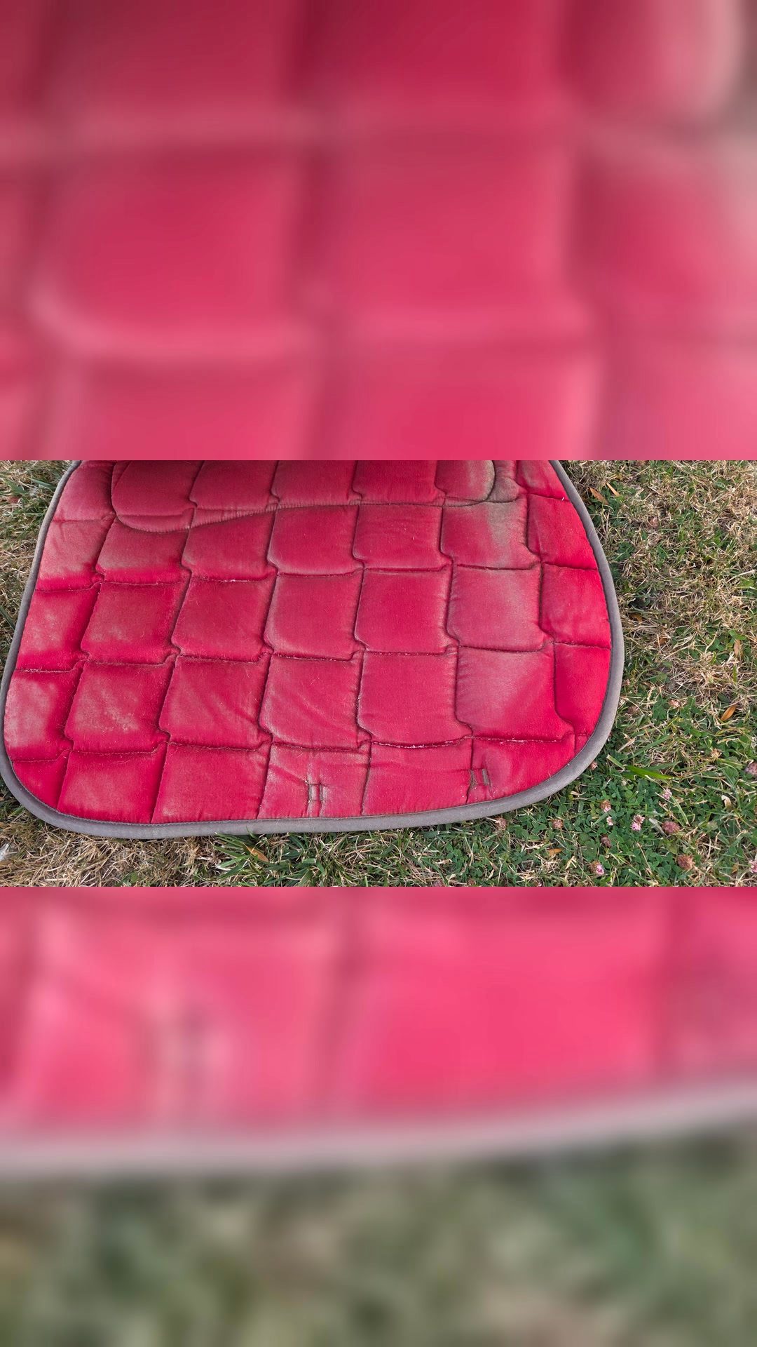 Tapis de selle rouge et bandes, média 4