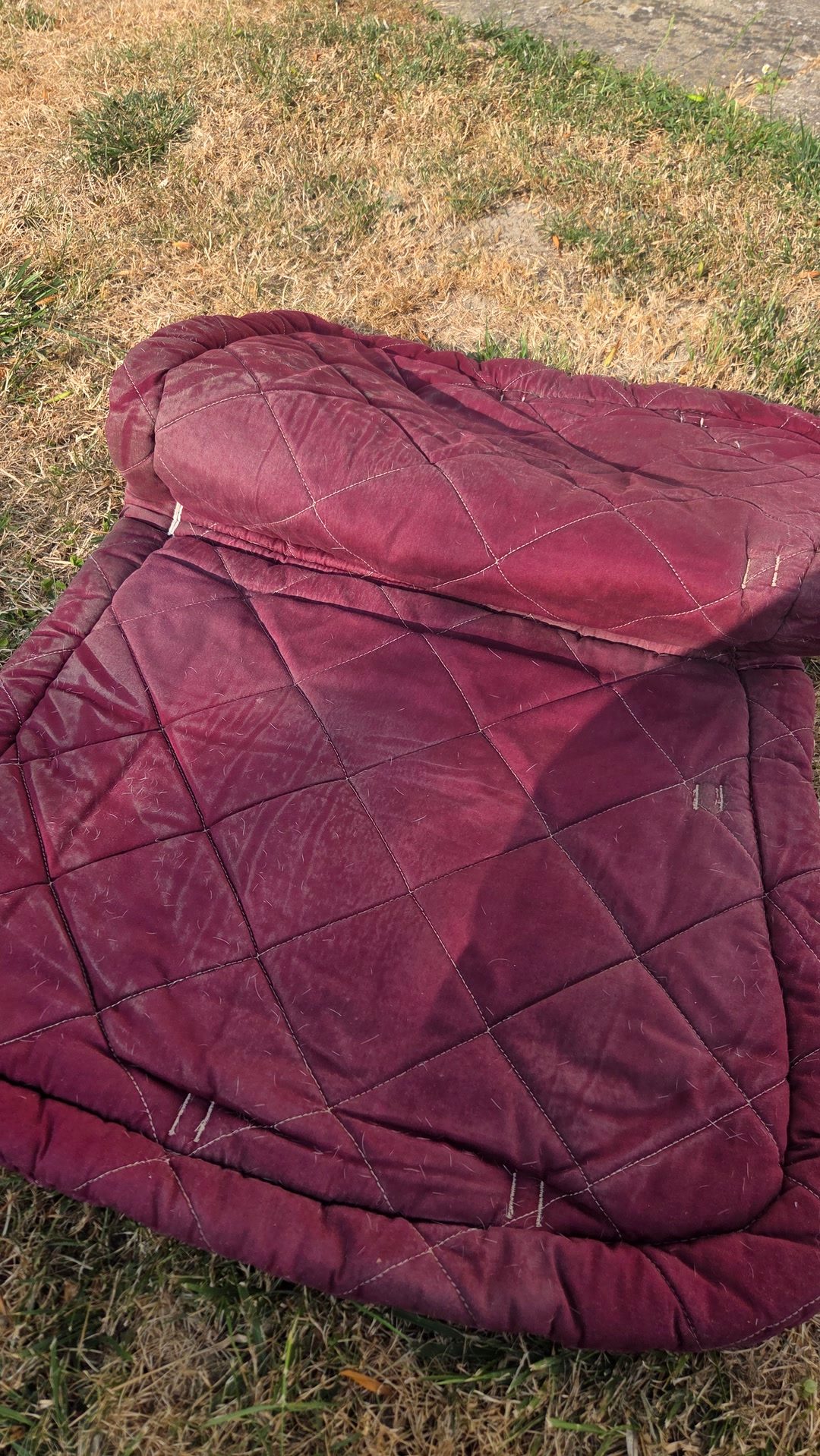 Tapis de selle bordeaux et accessoires, média 6