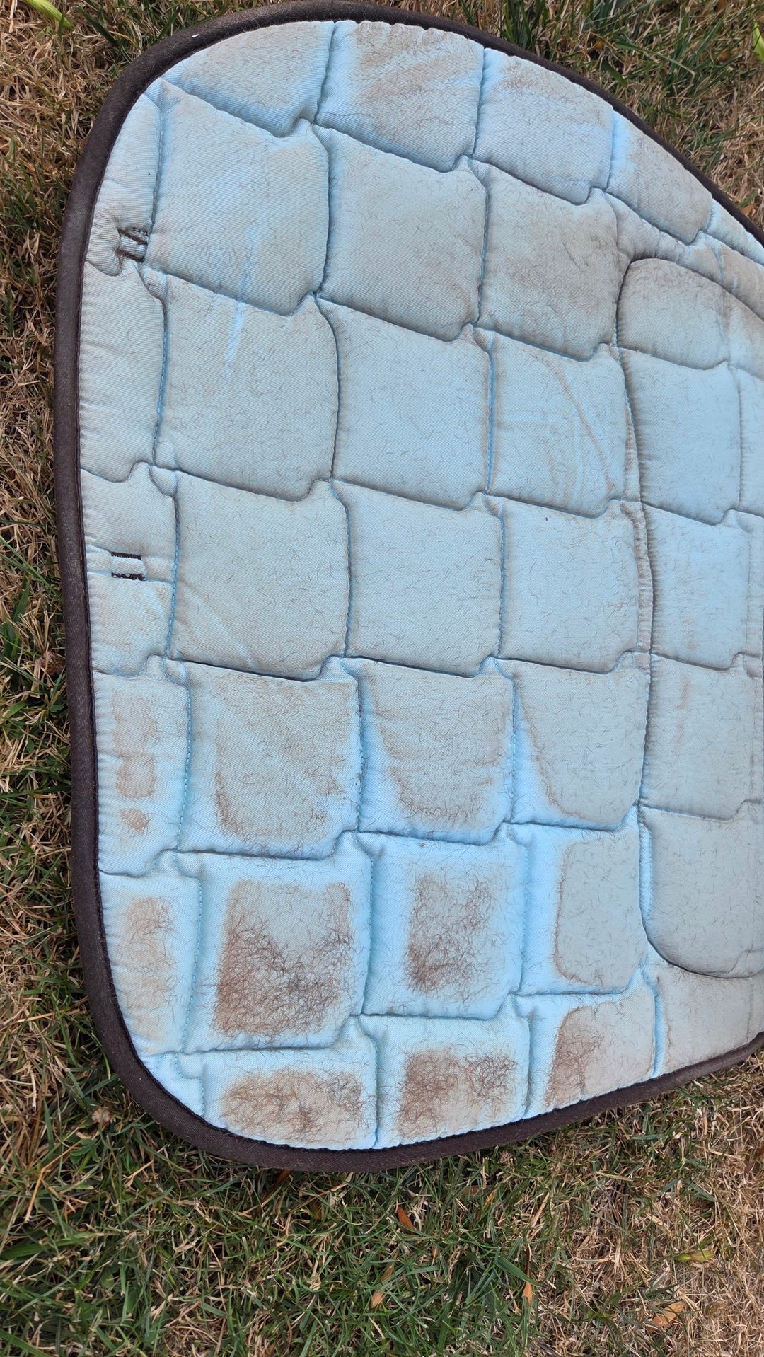 Tapis de selle bleu clair et accessoires, média 7