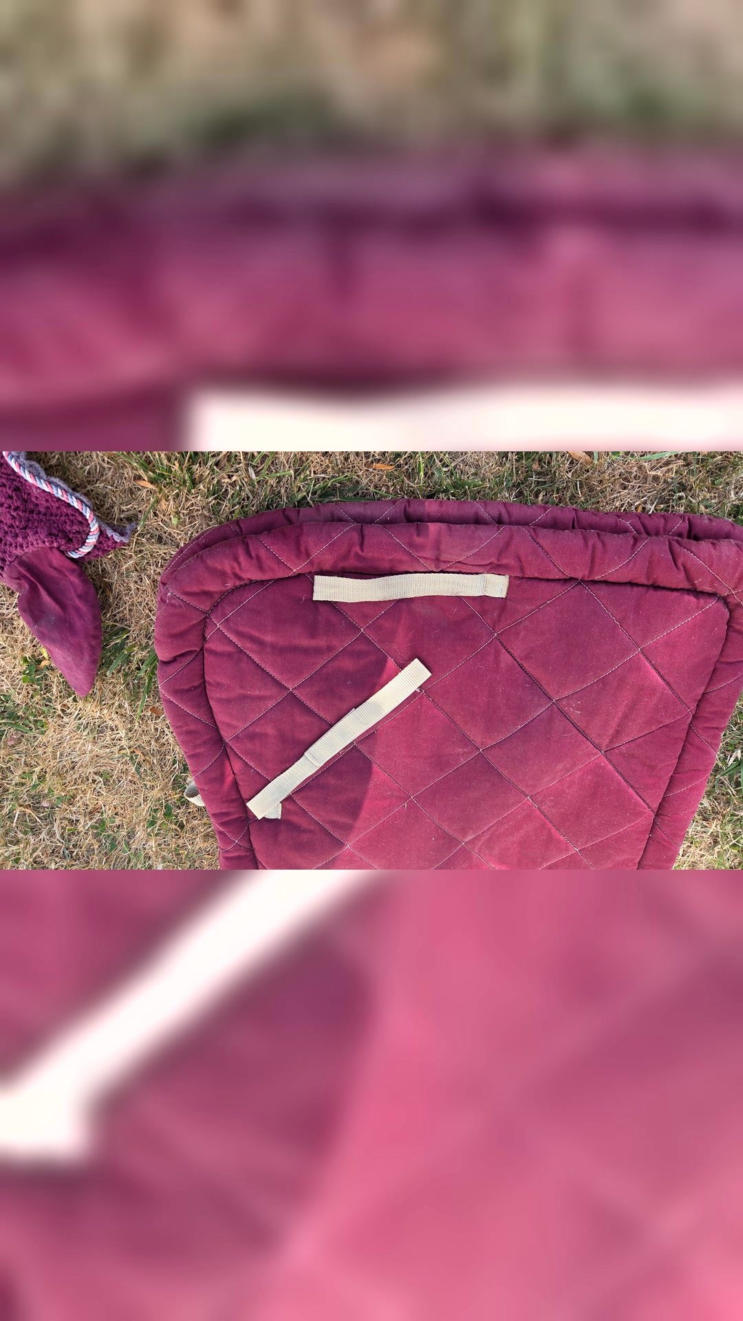 Tapis de selle bordeaux et accessoires, média 5