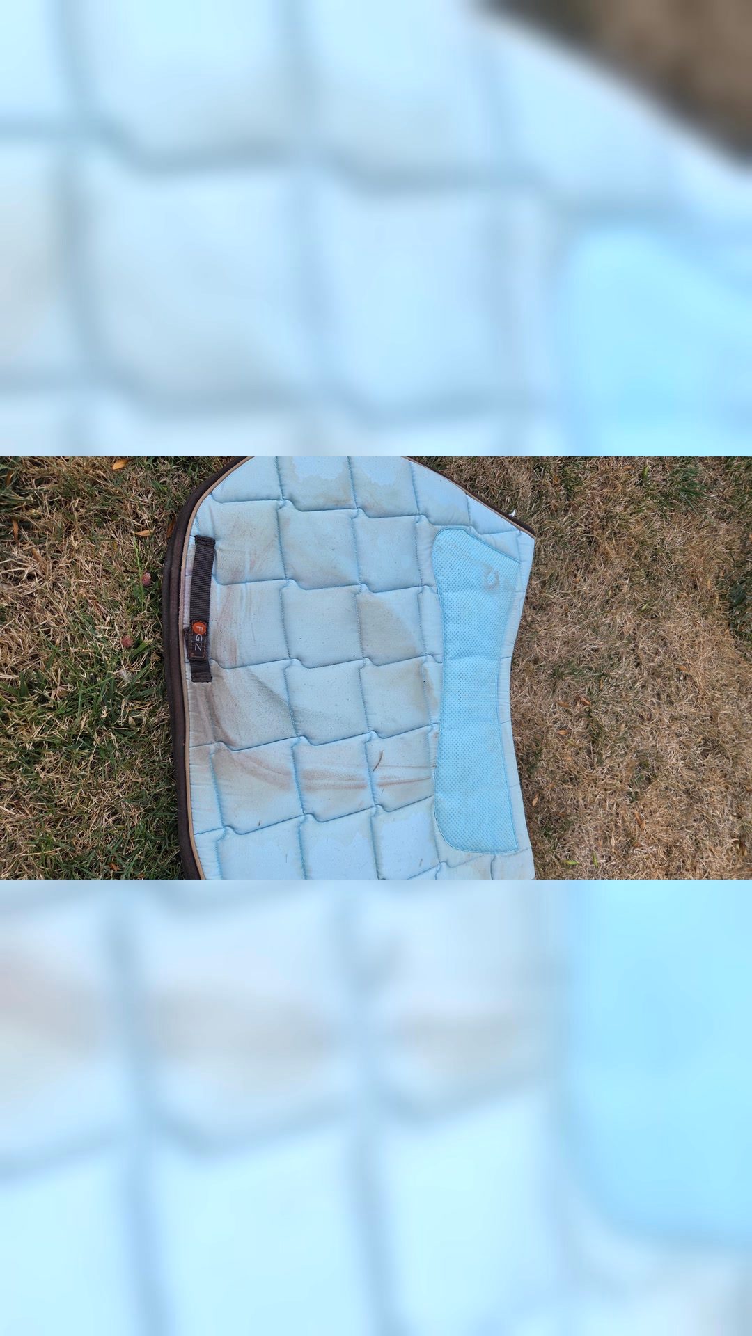 Tapis de selle bleu clair et accessoires, média 6