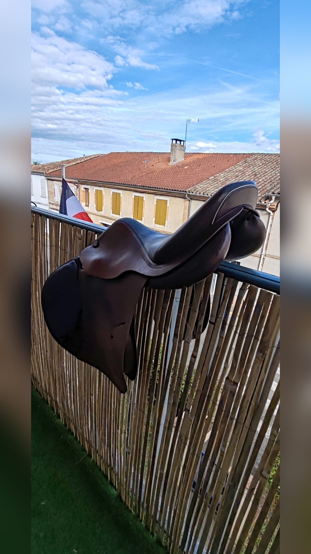Selle PRESTIGE Roma Jump 17 ", média 3