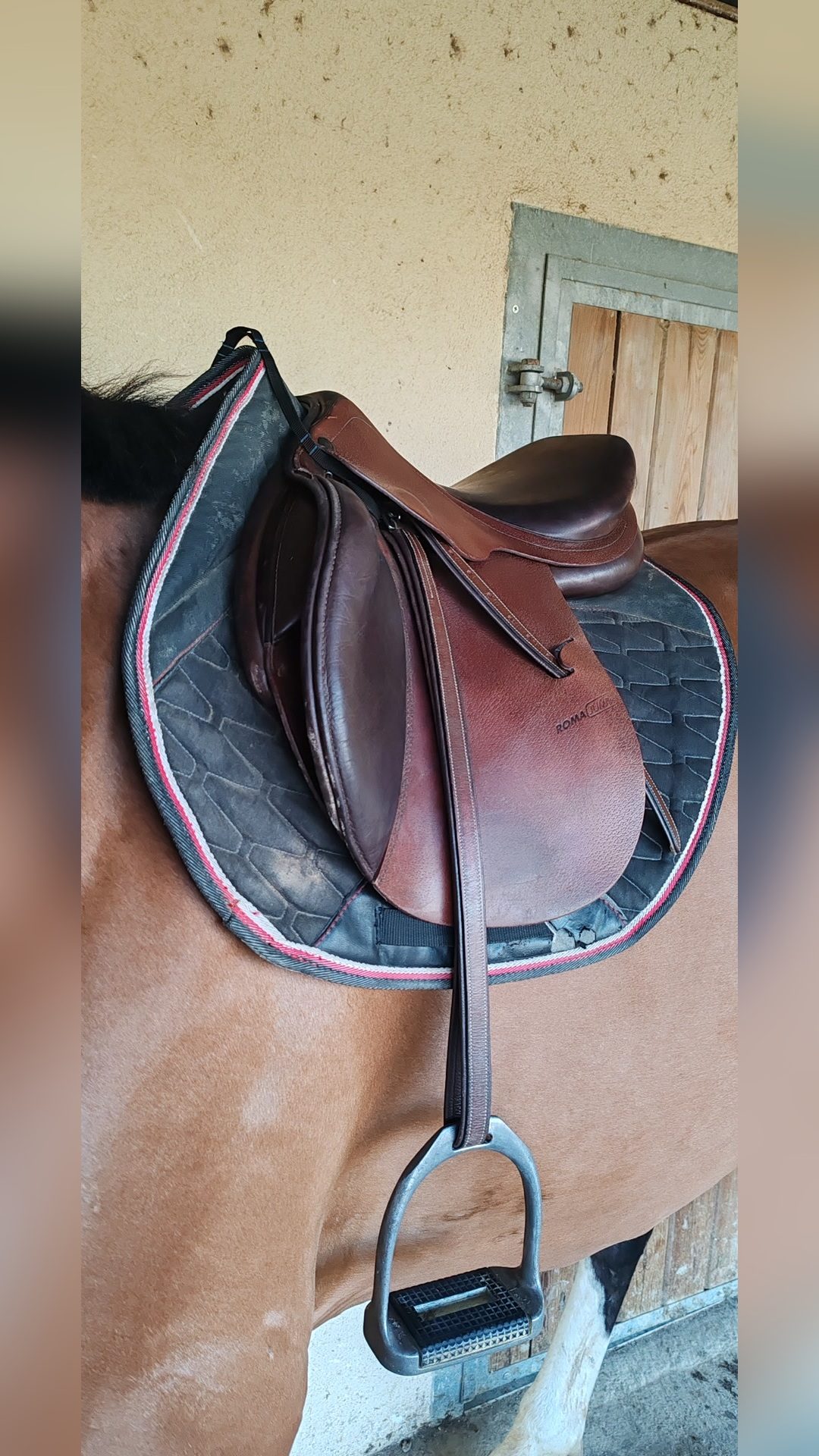 Selle PRESTIGE Roma Jump 17 ", média 2