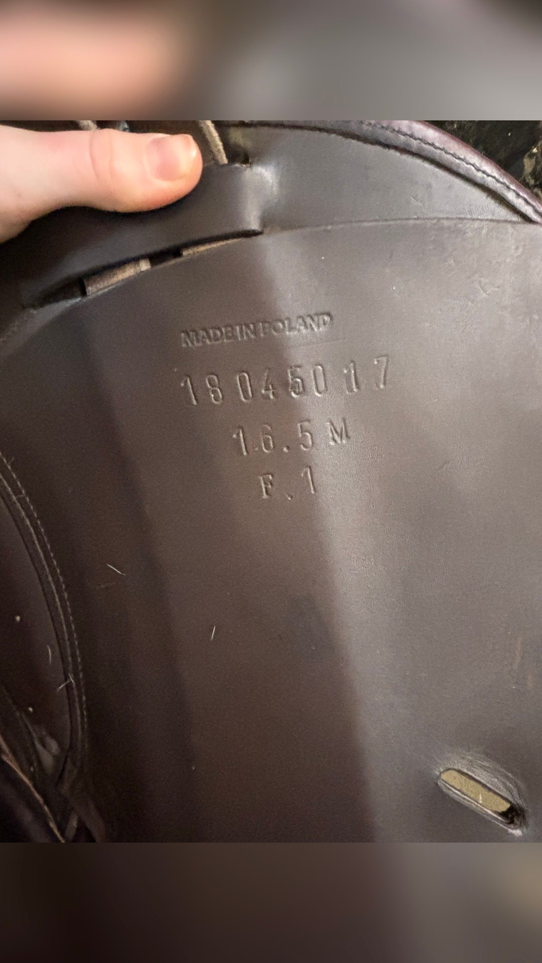 Selle monoquartier, média 5
