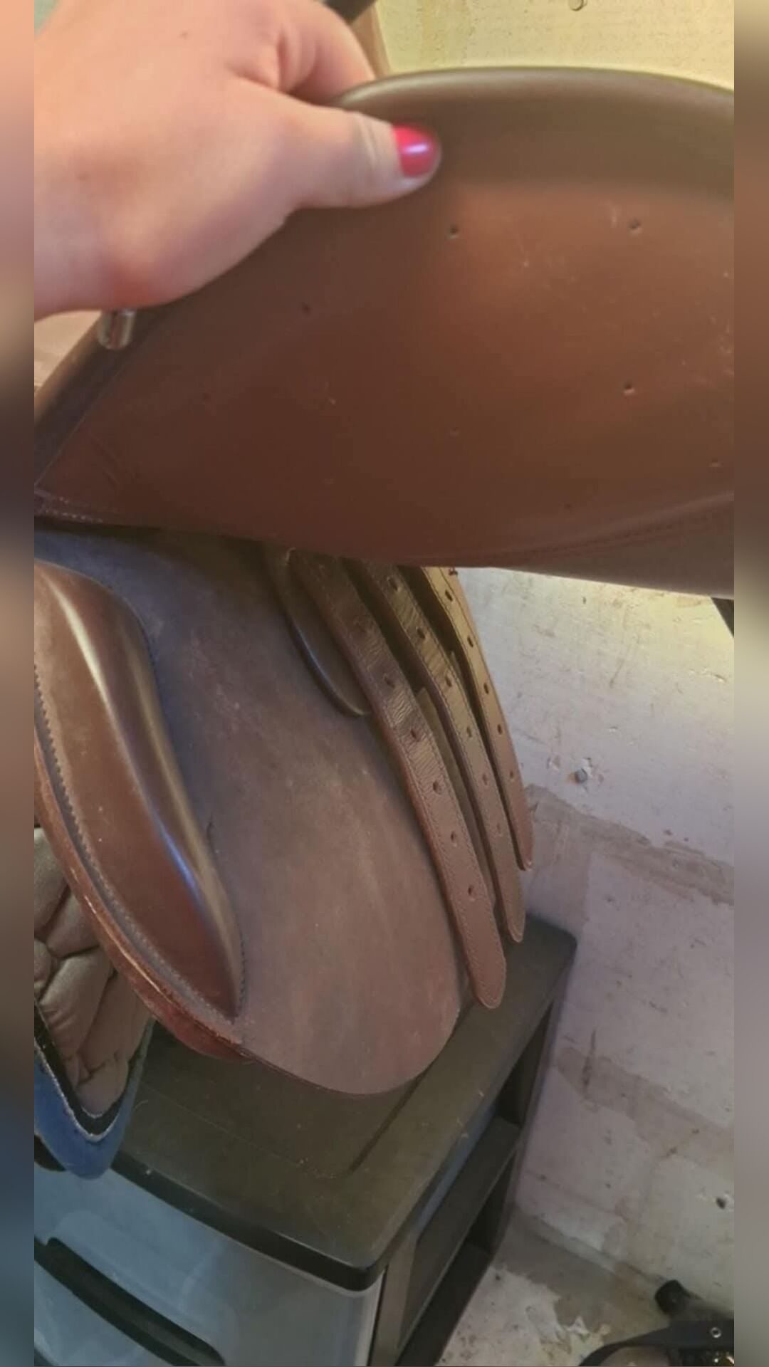 Selle, média 5