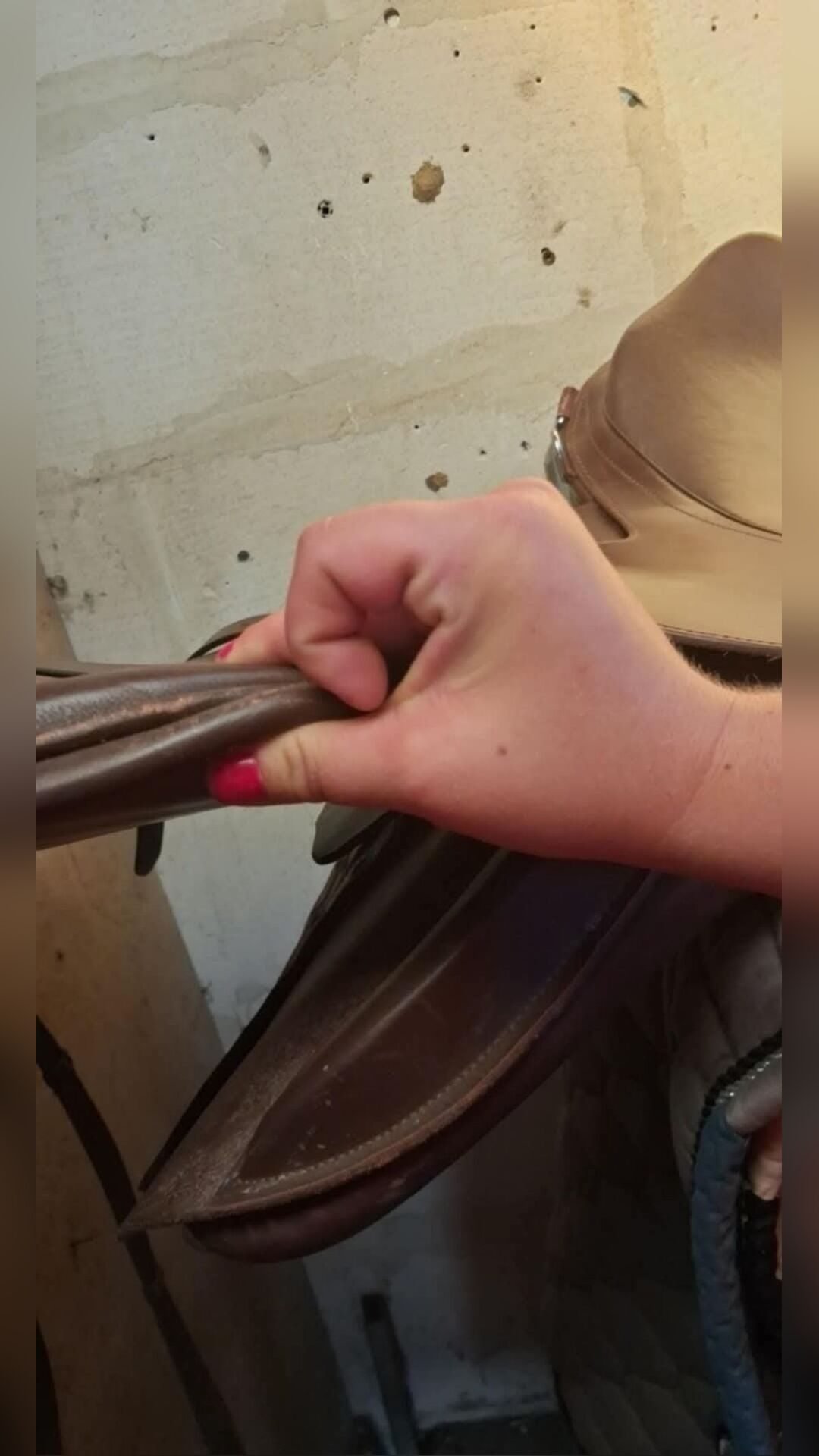 Selle, média 6