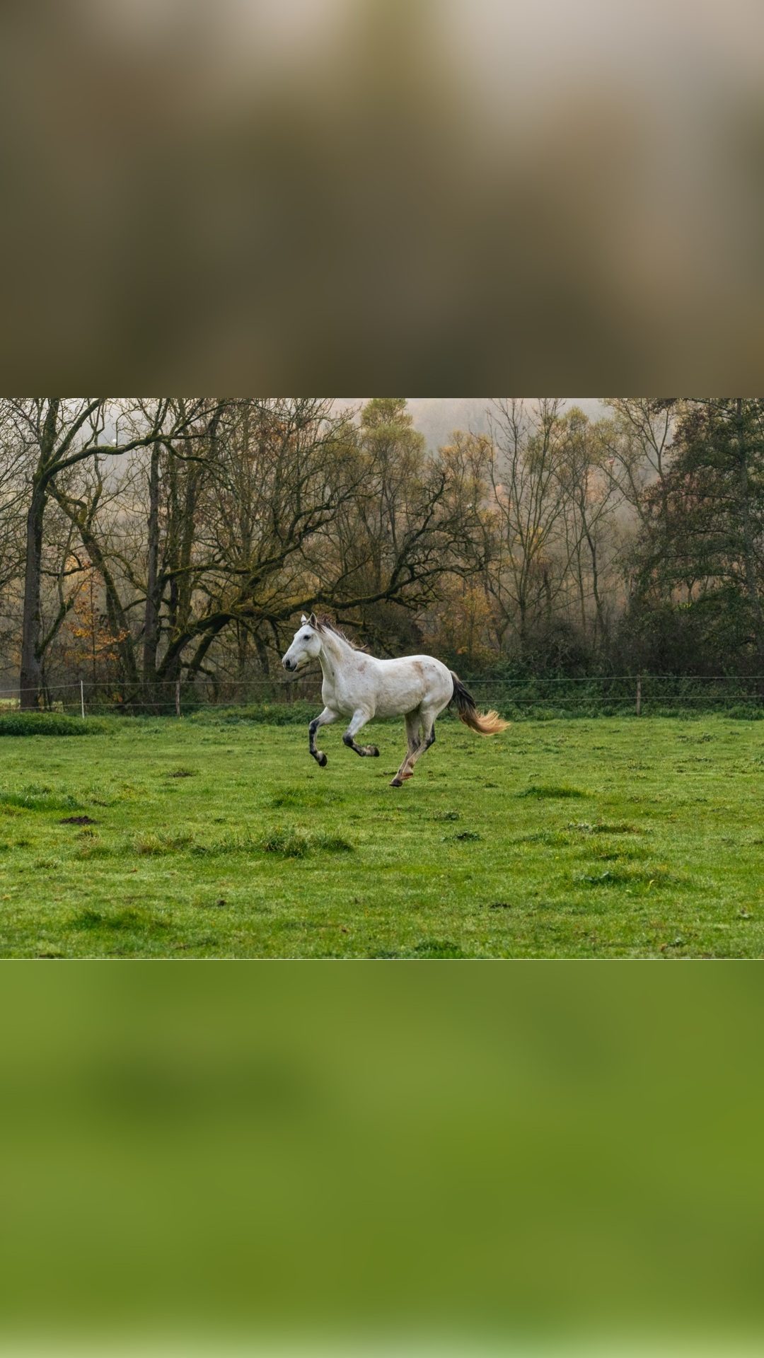 DJANGO EL DIAMANTE, média 4