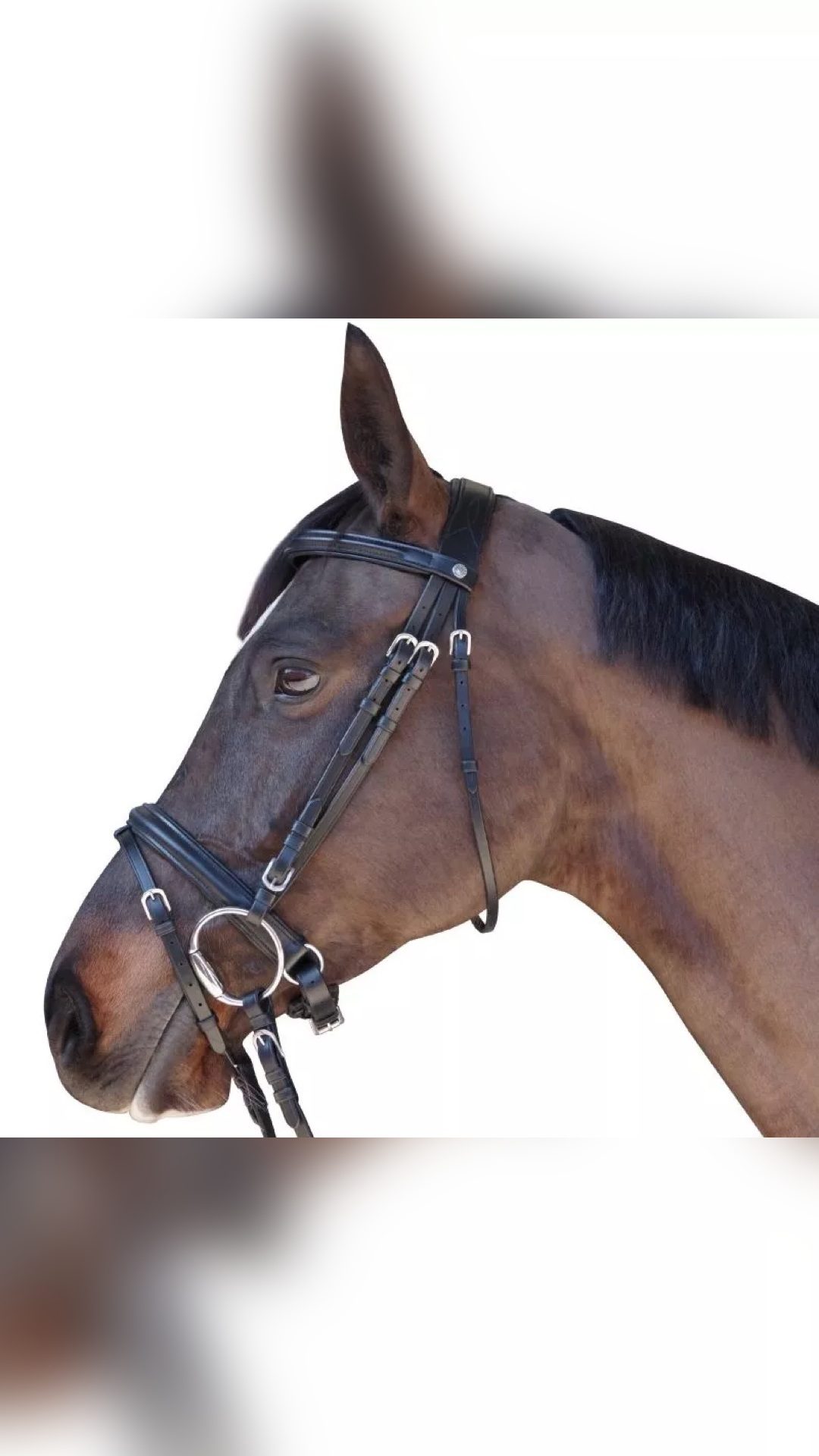 Bridon Euro Pull-back Canter, média 3