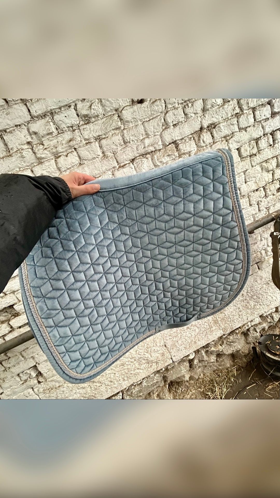 Tapis Kentucky, média 2