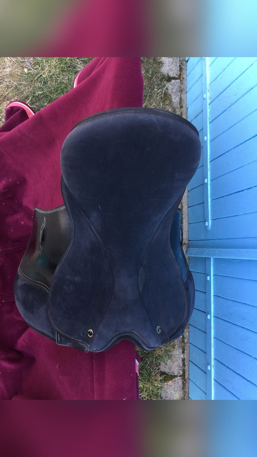Selle dressage synthétique, média 4