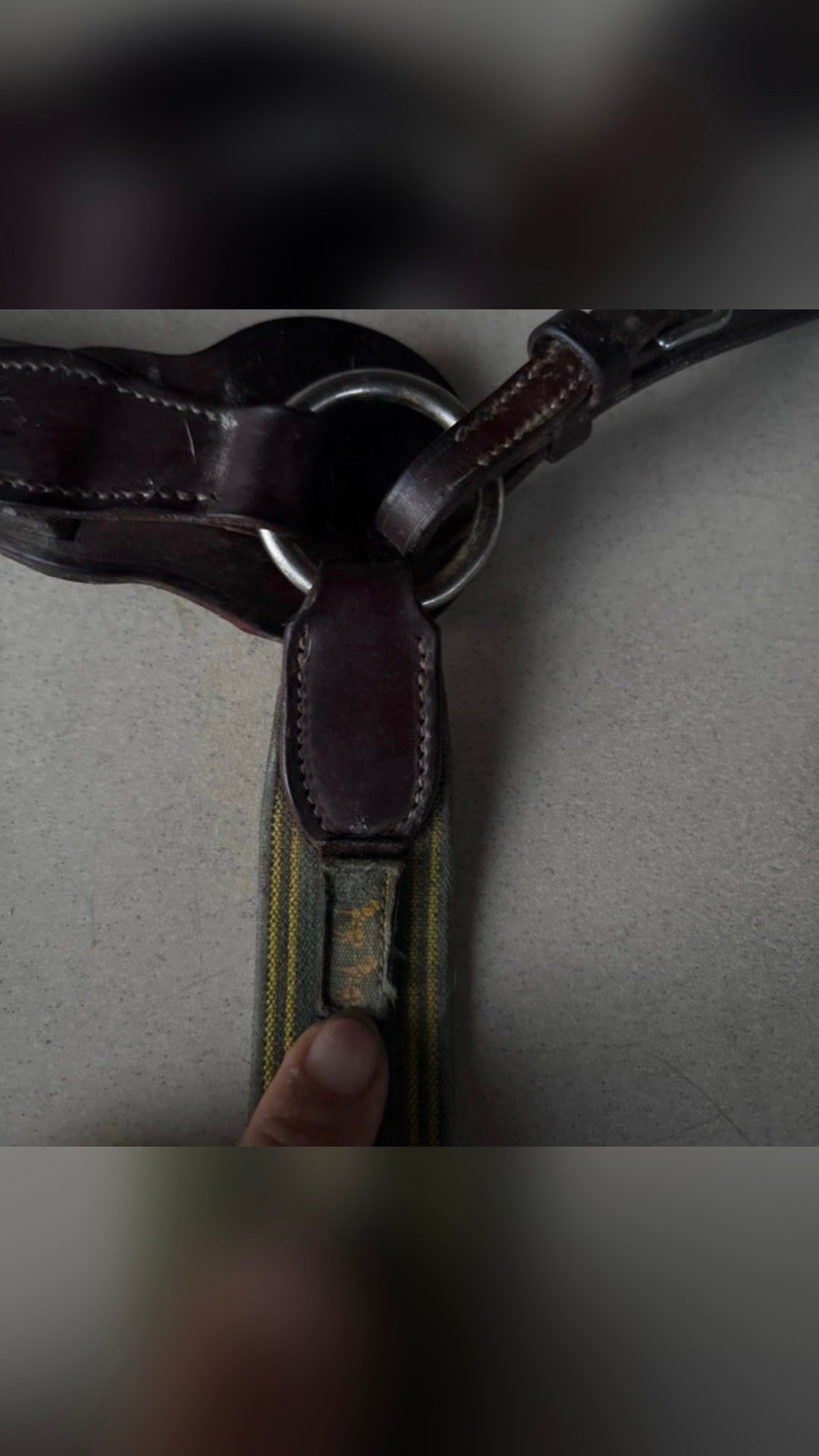 Collier de chasse devoucoux, média 2