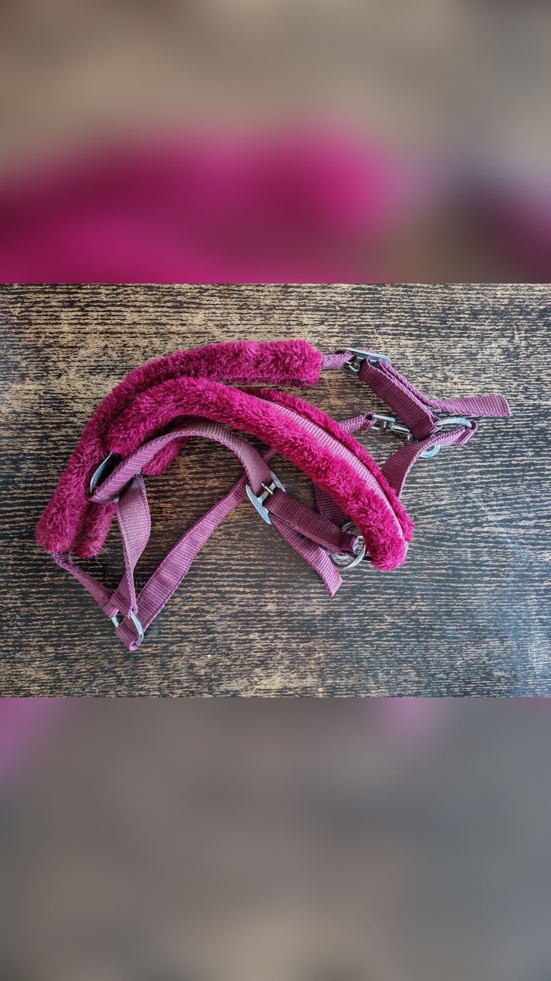 Licol+longe taille cheval, média 2