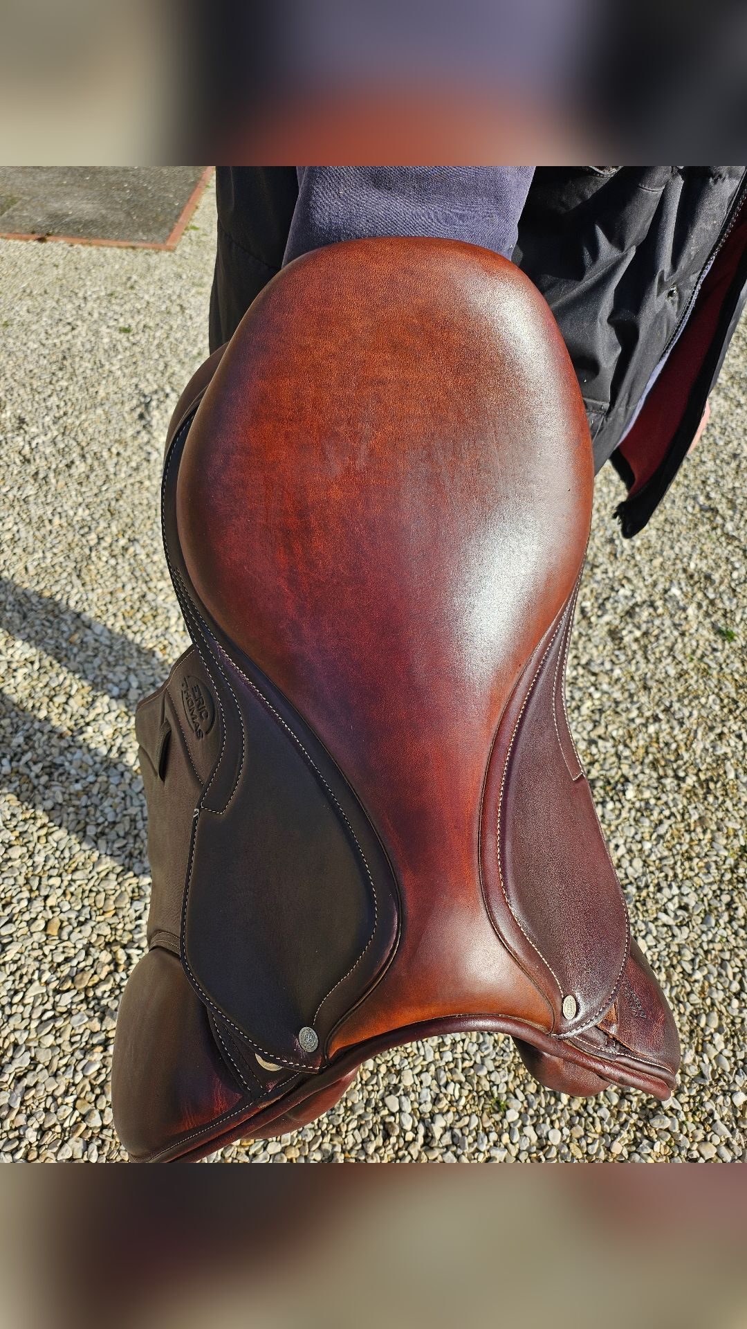 Selle Eric Thomas TDA Antarès, média 3