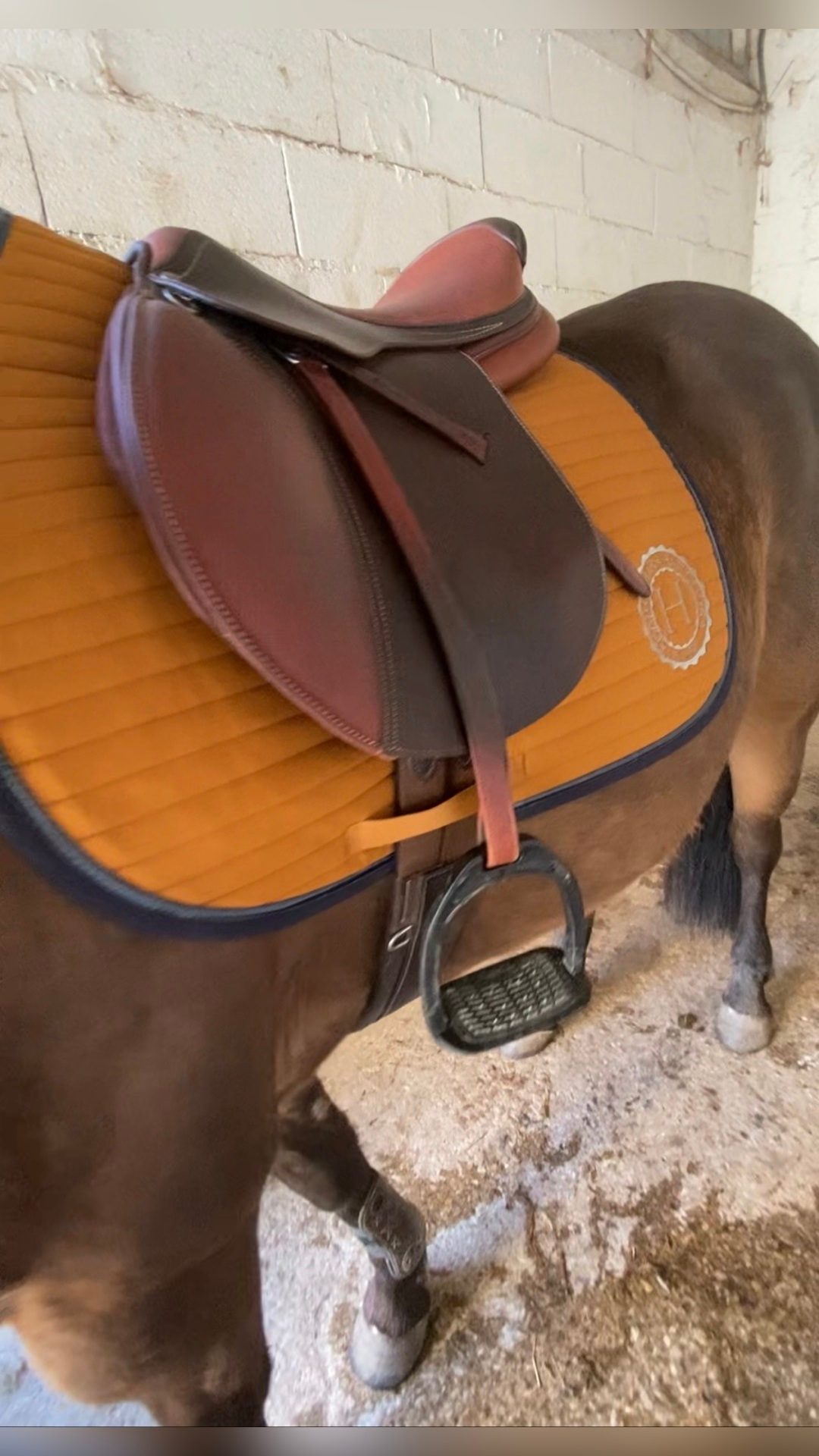 Selle à vendre, média 2