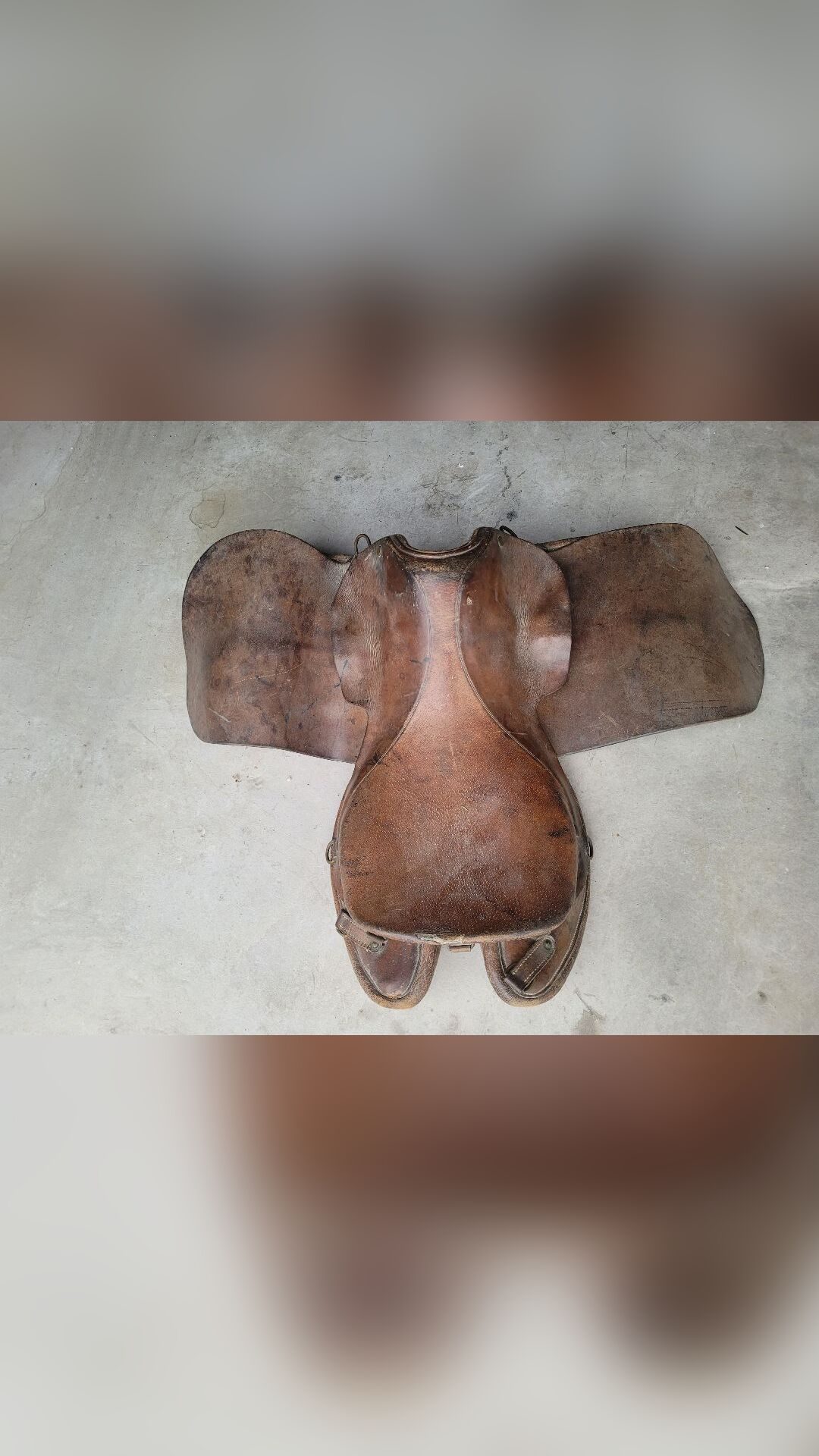 SELLE ÉQUITATION CUIR, média 2