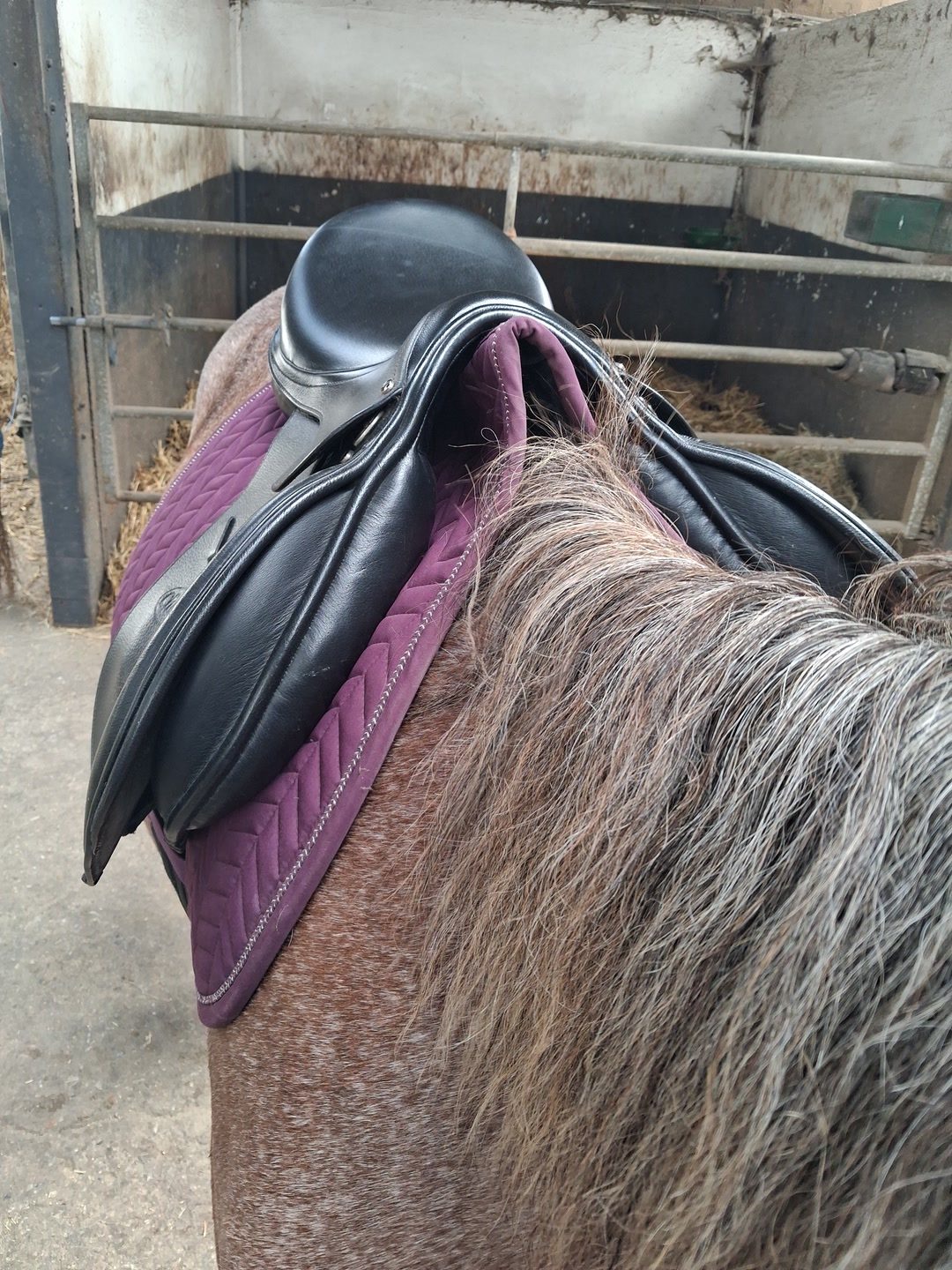 Selle 17,5, média 3