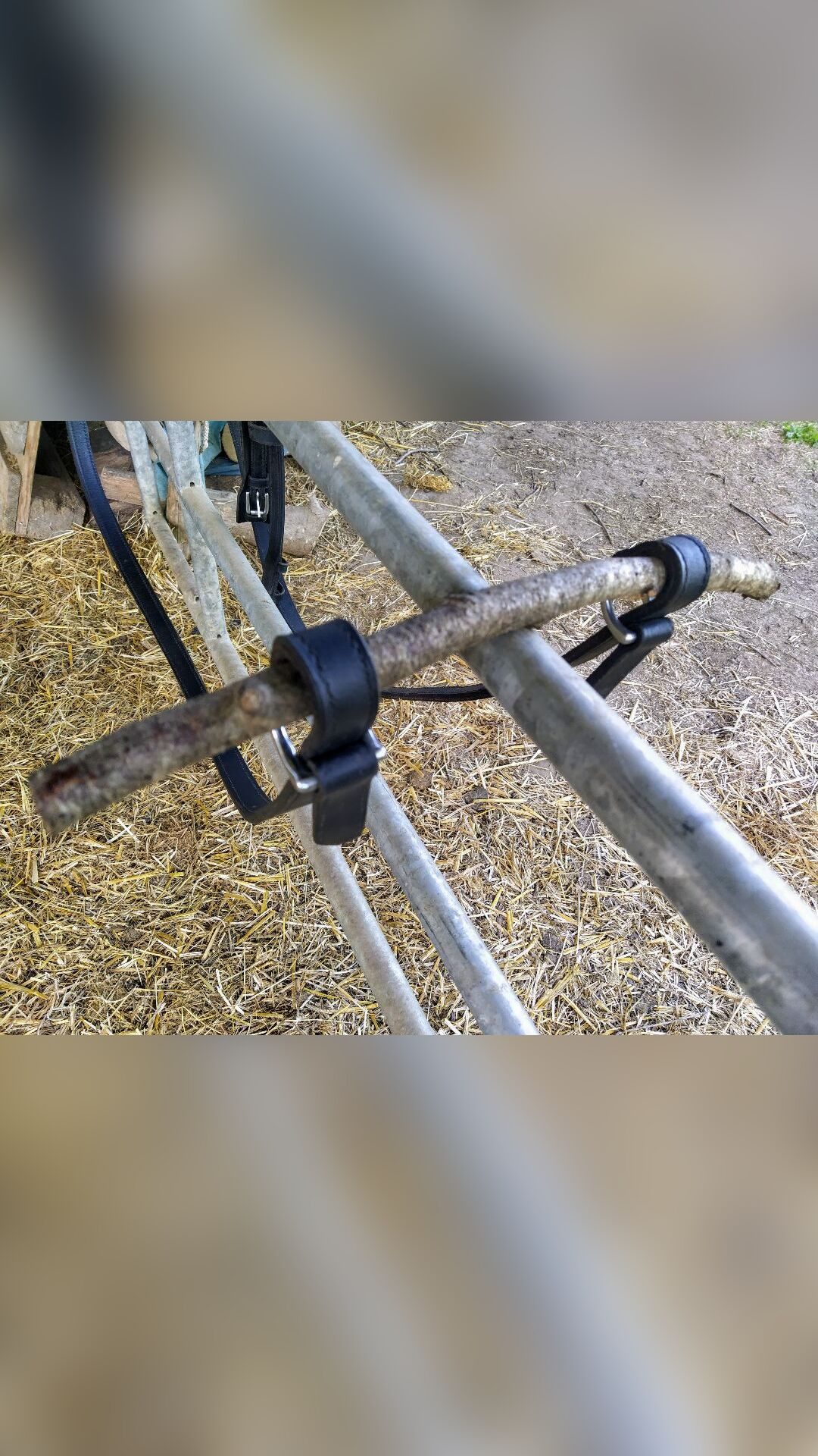 Harnais d'attelage poney, média 4