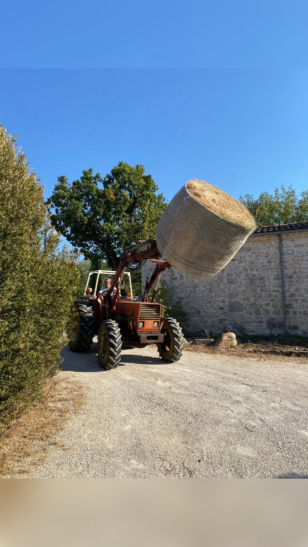 Pension pré. Chevaux tout âges, média 4