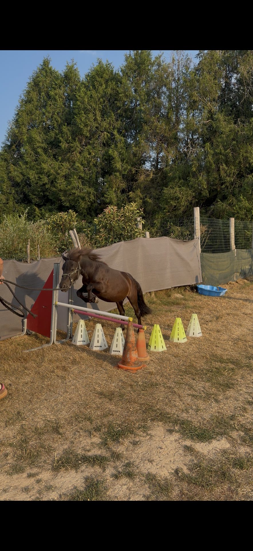 OGALOP, média 3