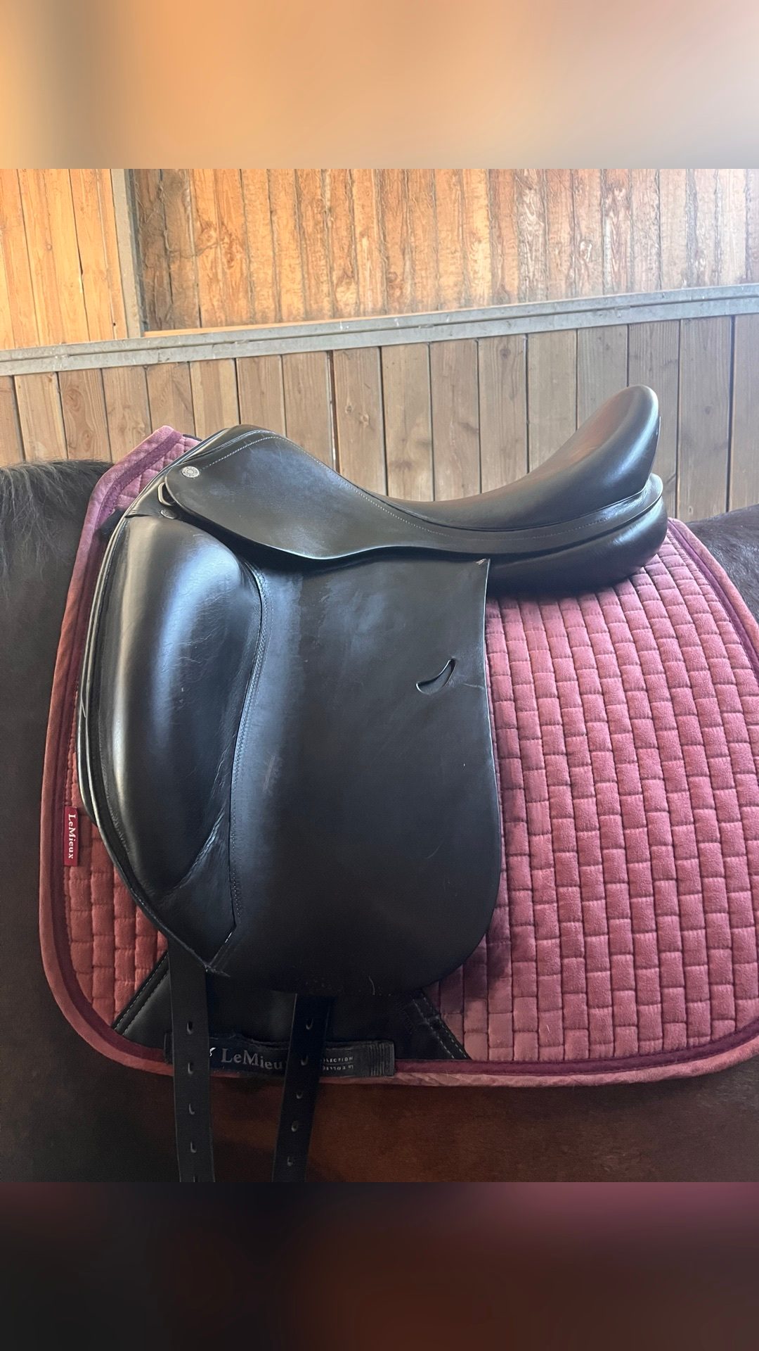 Selle Équipe Dressage 18 pouces Doubles Quartier Noire, média 3