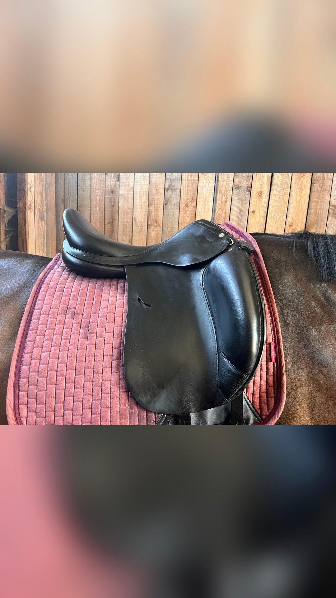 Selle Équipe Dressage 18 pouces Doubles Quartier Noire, média 4