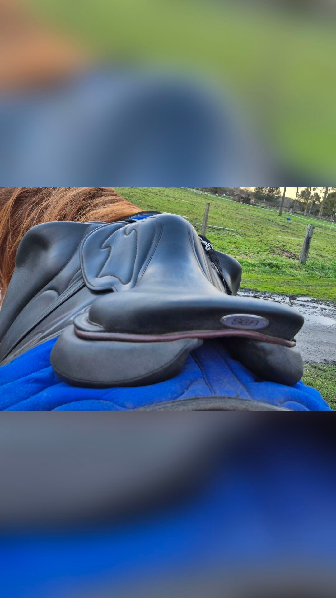 Selle Côte Basque monoquartier obstacle noire 18' arcade large, média 2