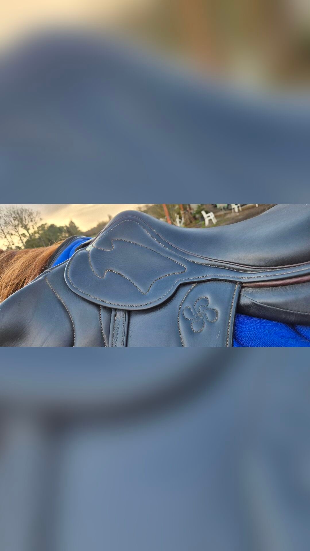 Selle Côte Basque monoquartier obstacle noire 18' arcade large, média 3