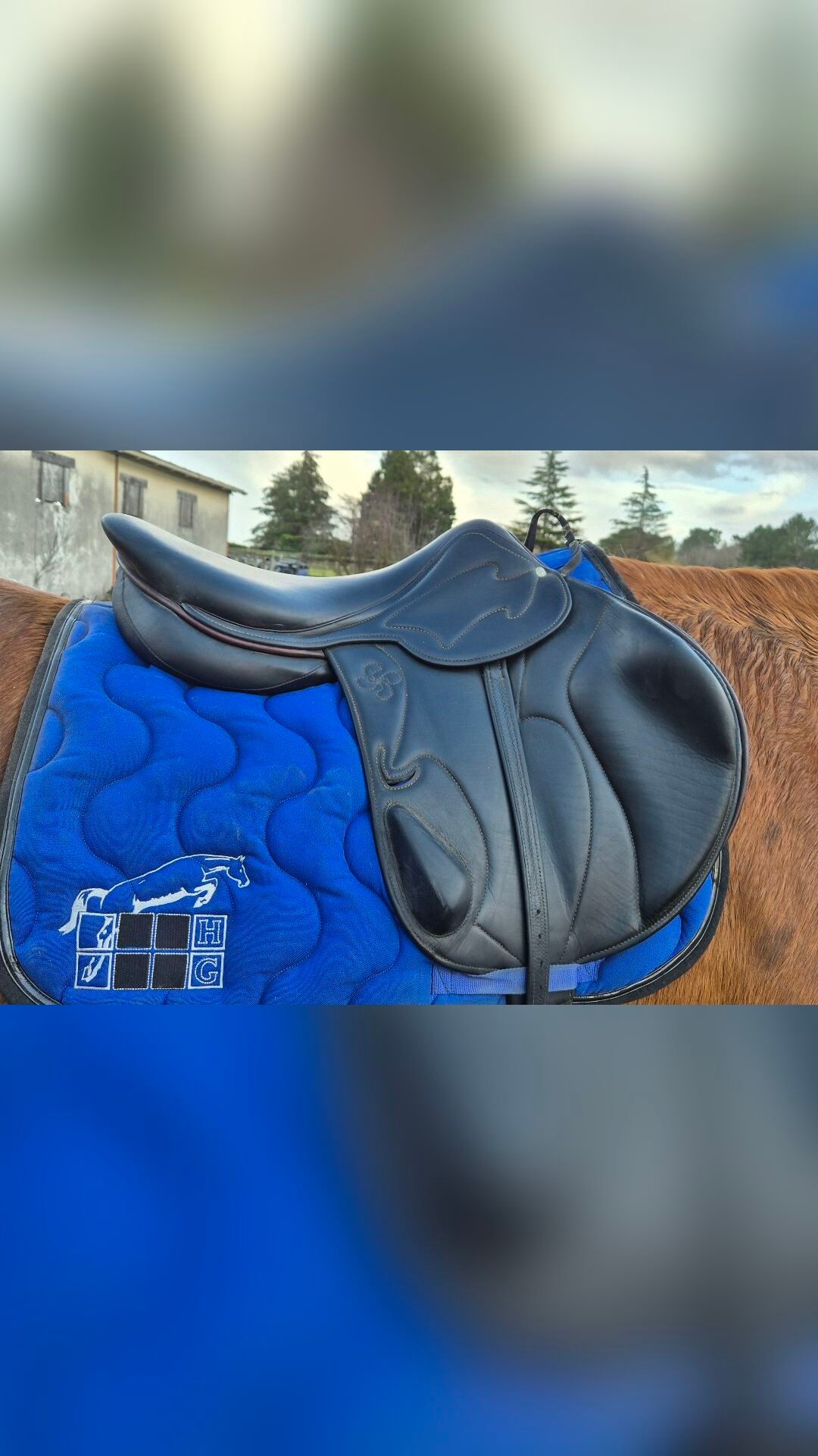 Selle Côte Basque monoquartier obstacle noire 18' arcade large, média 4