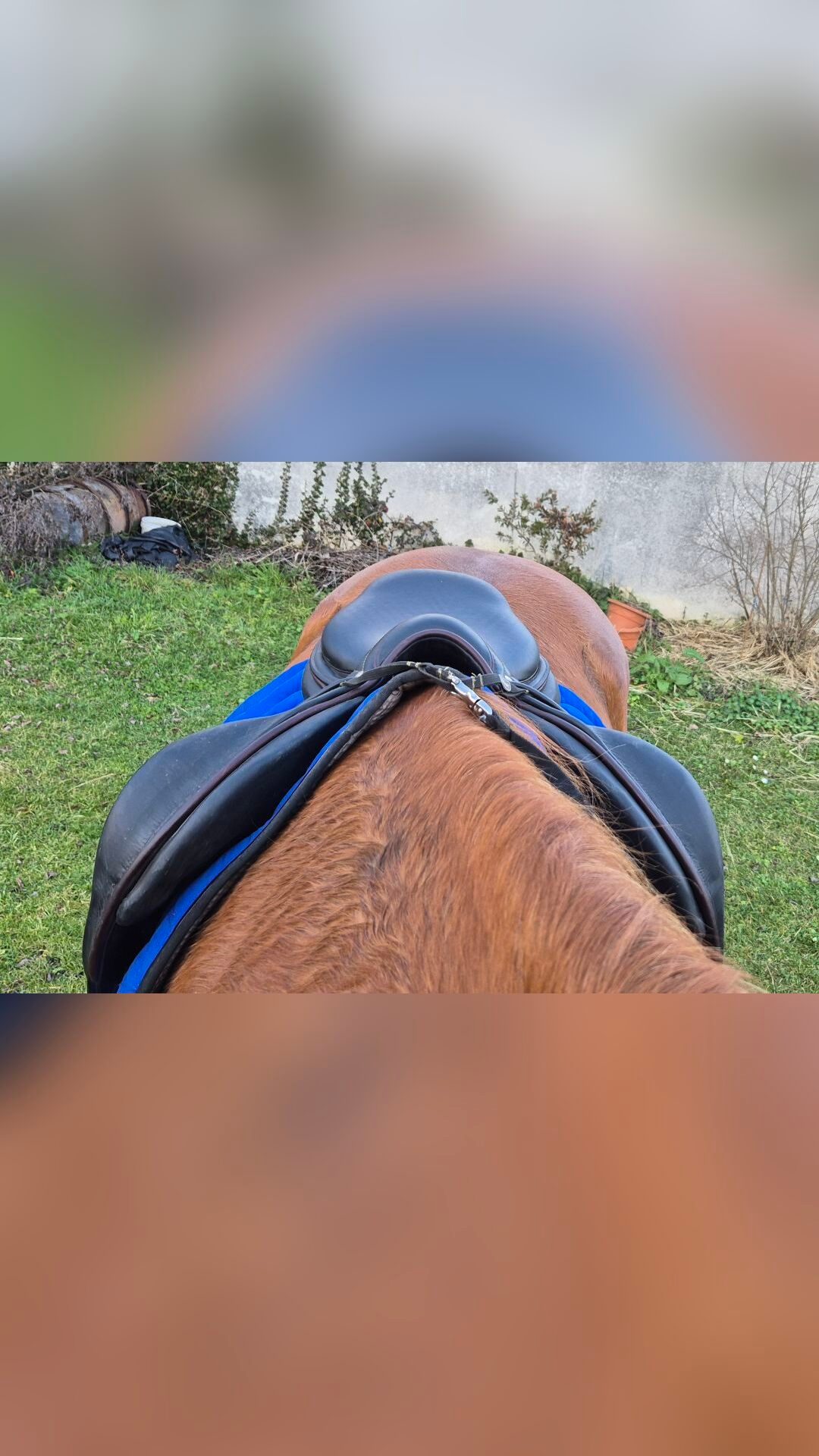 Selle Côte Basque monoquartier obstacle noire 18' arcade large, média 6