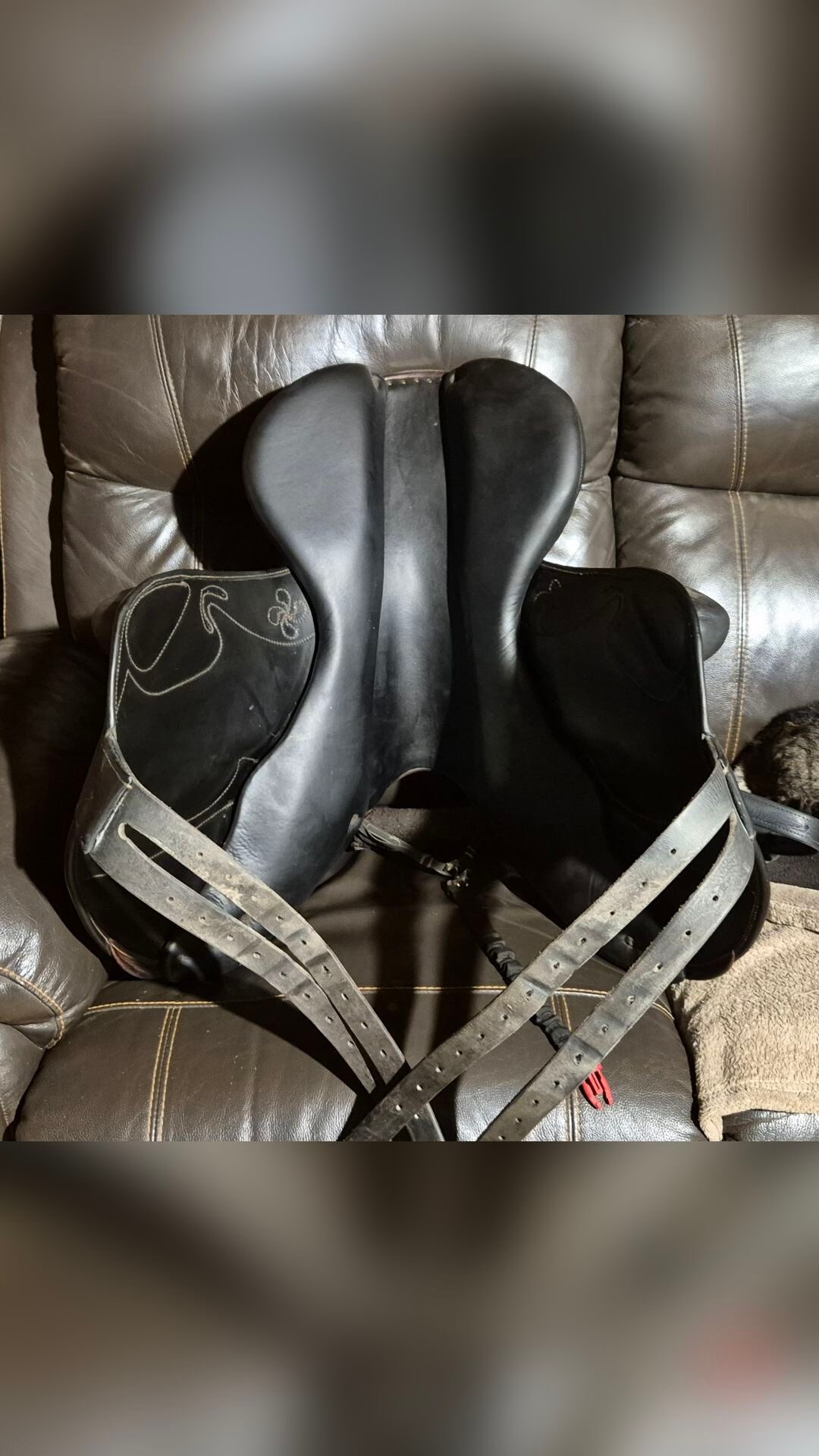 Selle Côte Basque monoquartier obstacle noire 18' arcade large, média 7