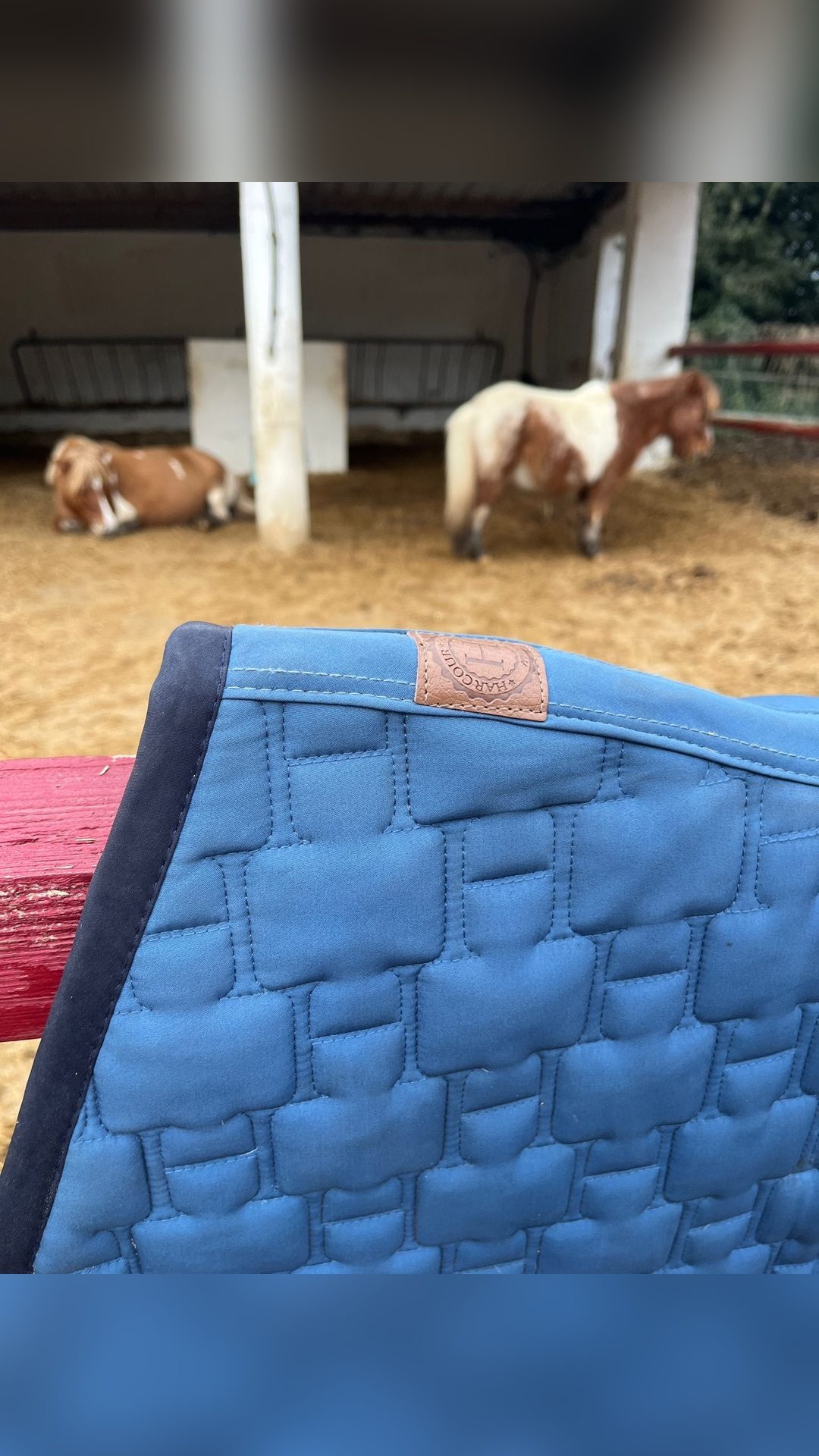 Tapis Harcour bleu, média 4