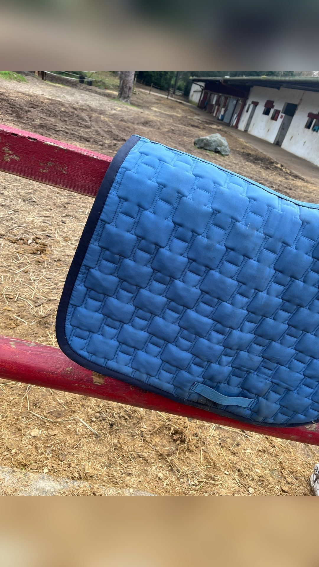 Tapis Harcour bleu, média 6