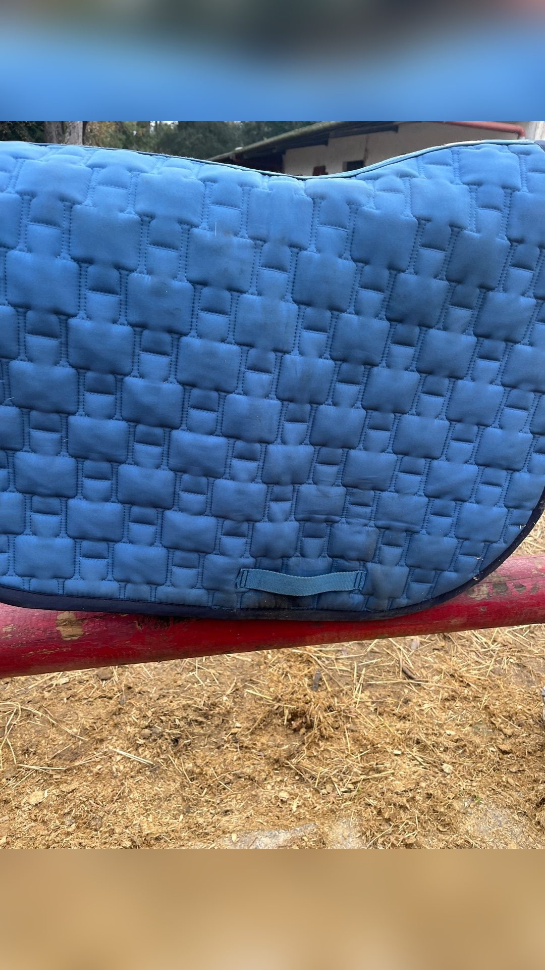 Tapis Harcour bleu, média 7