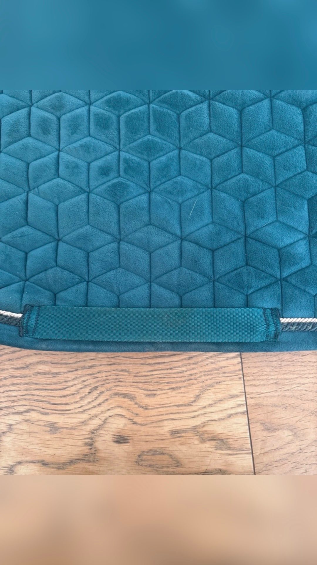 Tapis velvet, Kentucky , bleu canard, média 3