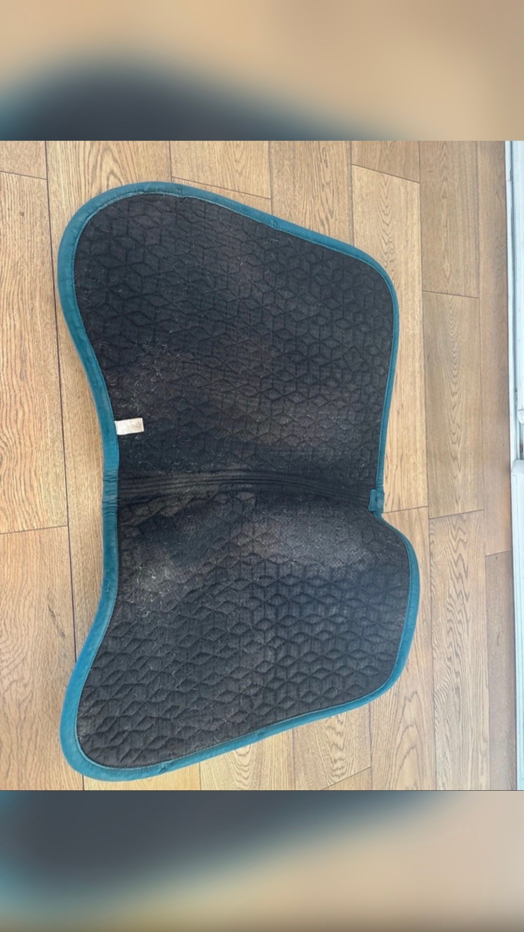 Tapis velvet, Kentucky , bleu canard, média 4