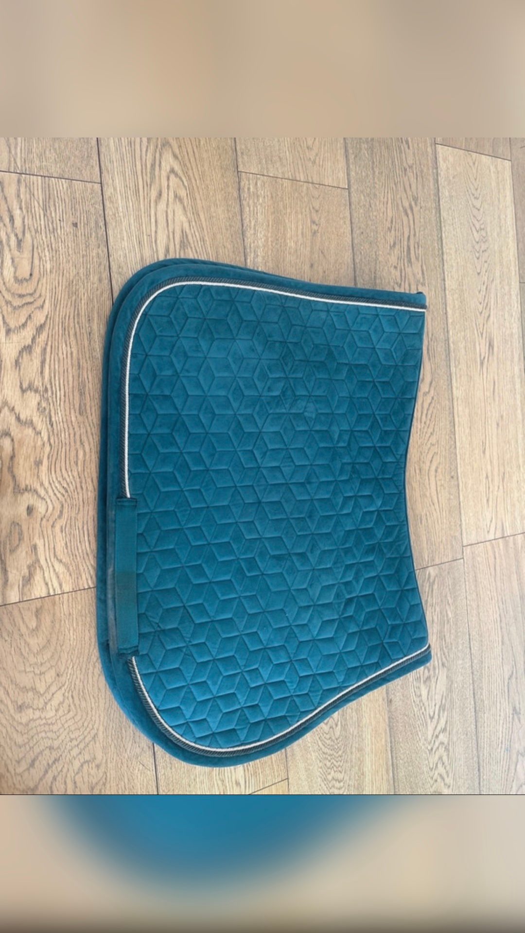 Tapis velvet, Kentucky , bleu canard, média 5