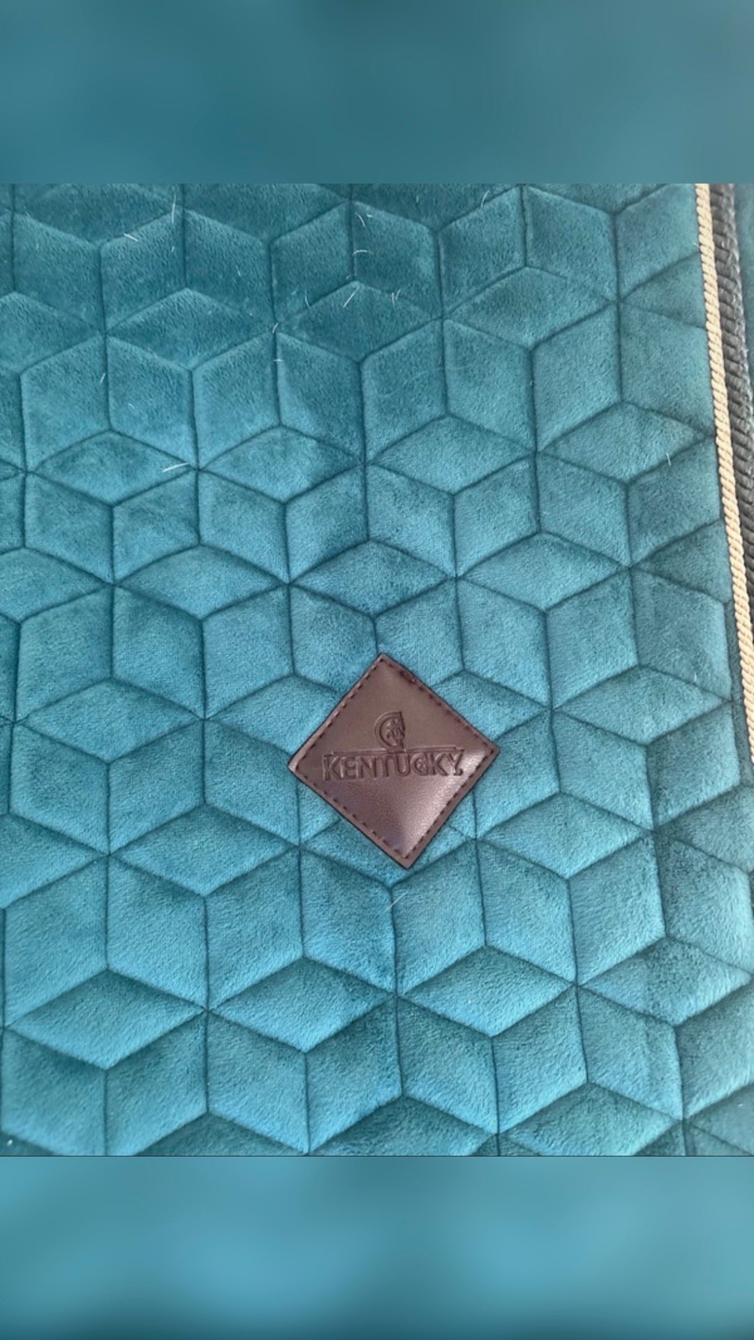 Tapis velvet, Kentucky , bleu canard, média 2