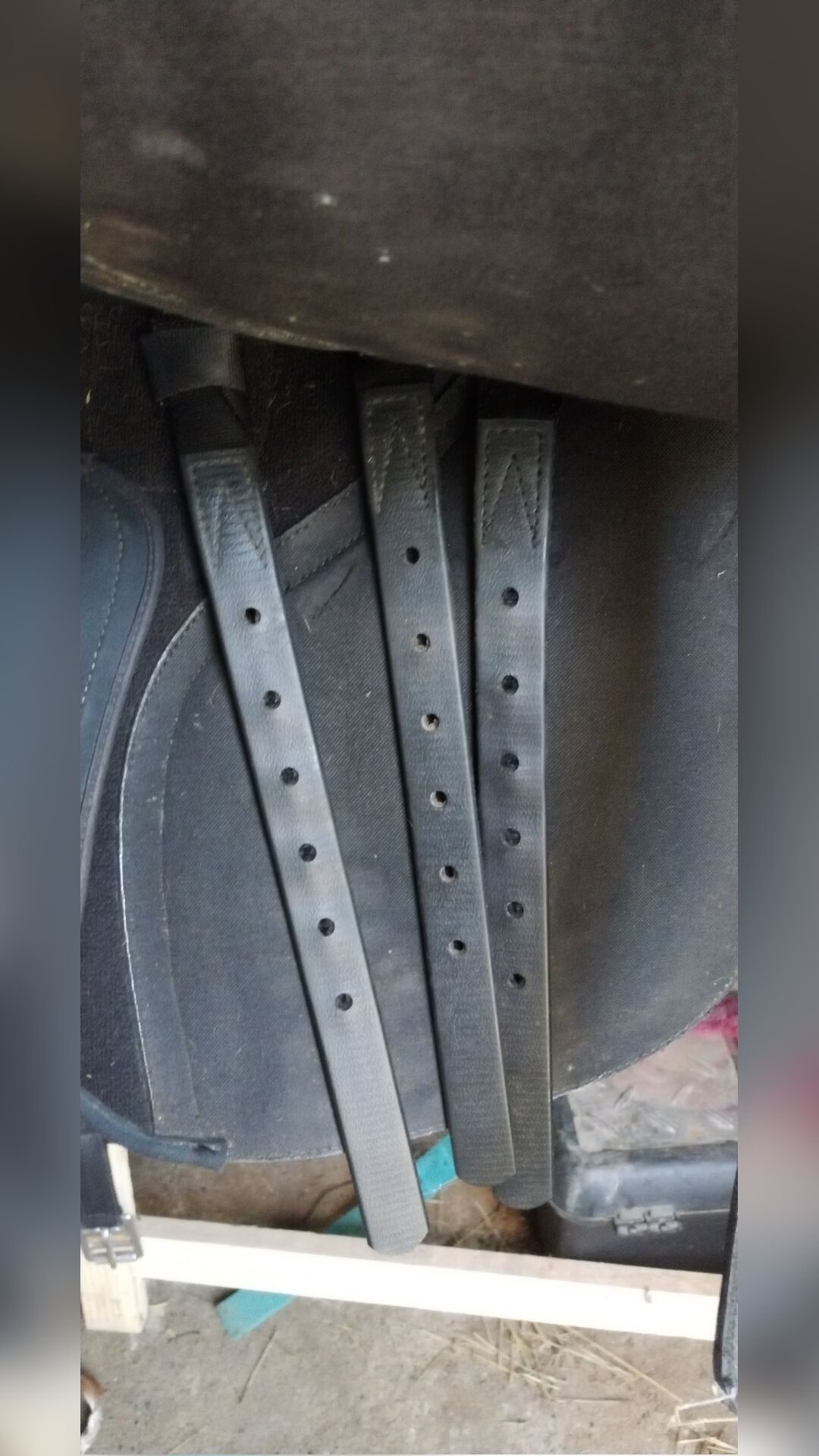Selle Wintec 2000, média 3