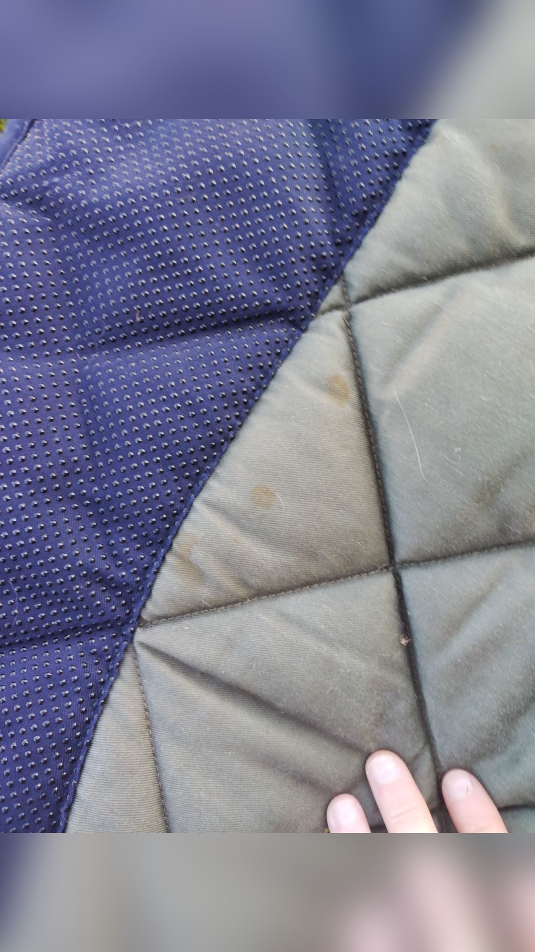 Tapis de selle, média 3