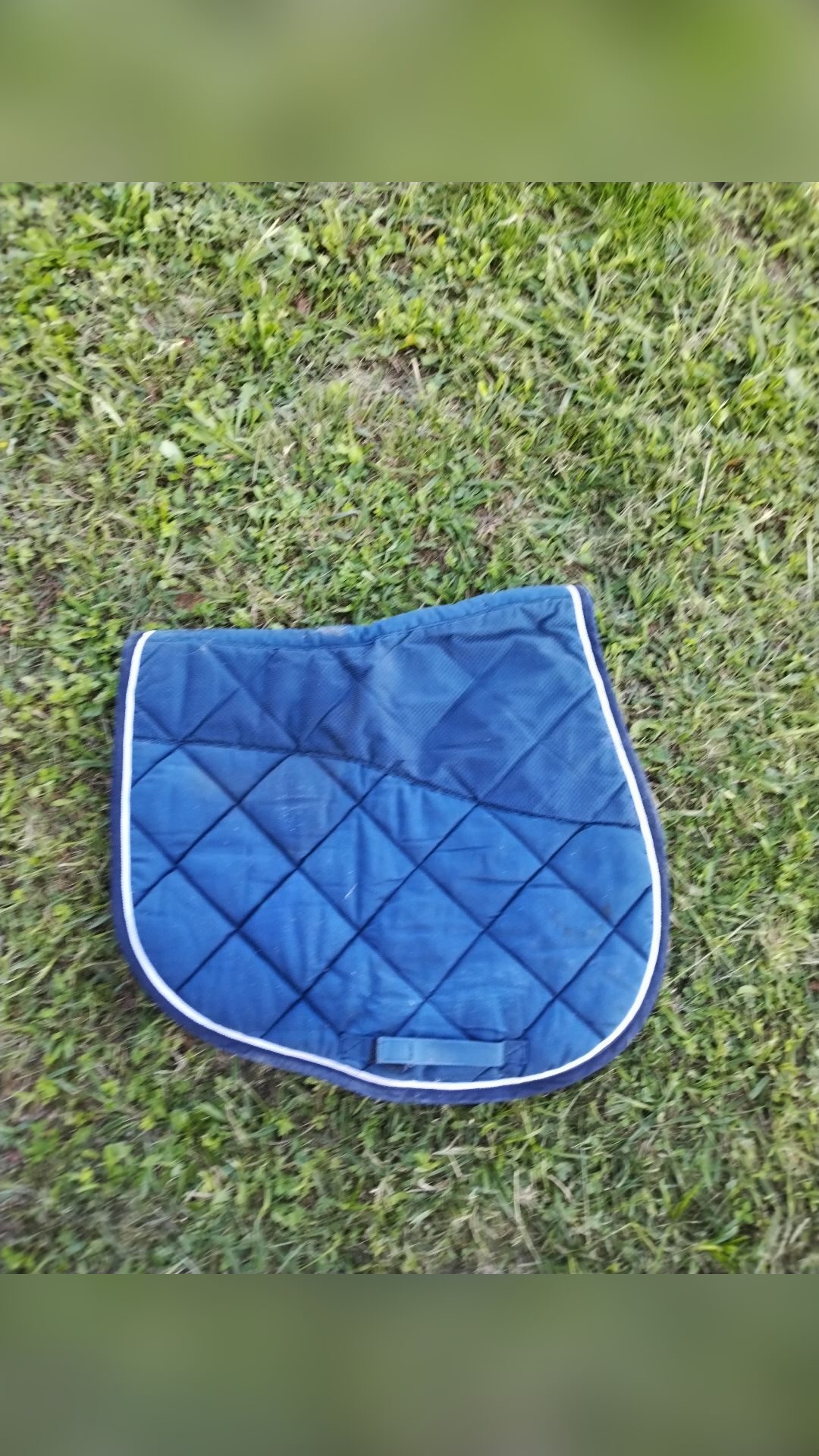 Tapis de selle, média 2