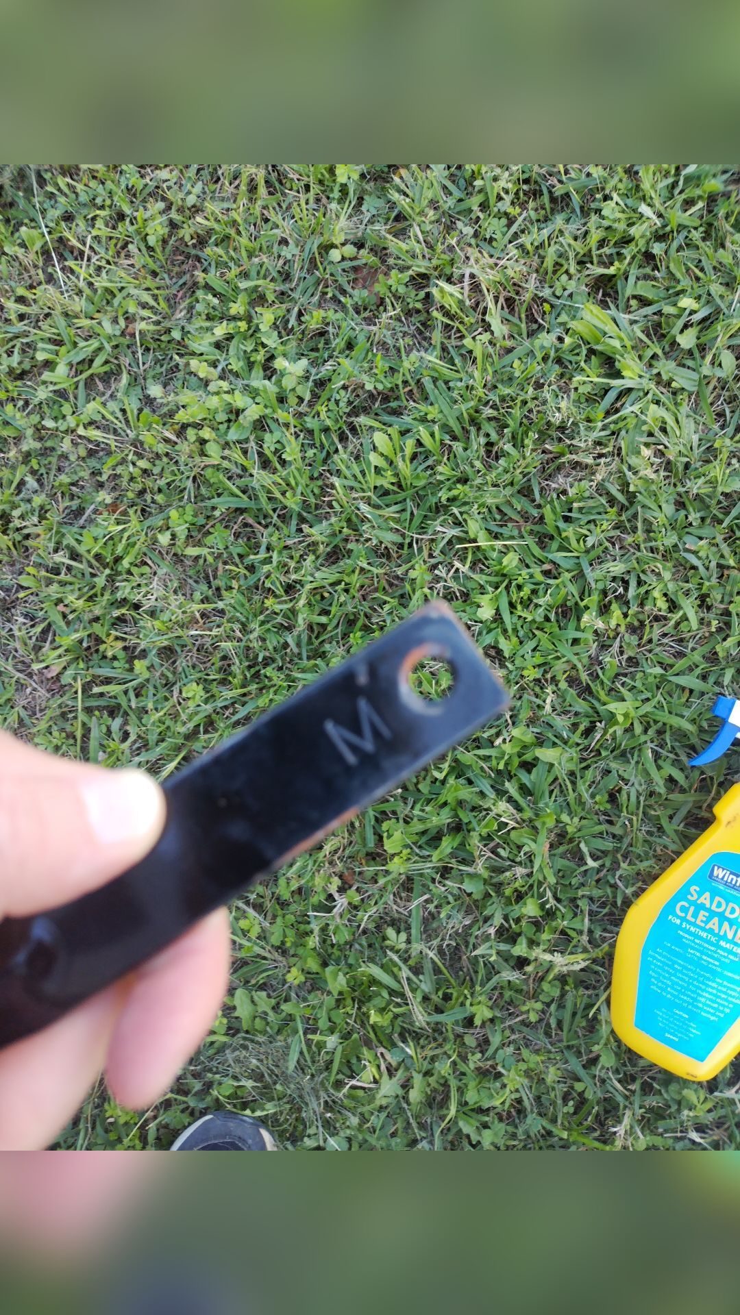 Selle Wintec 2000, média 8