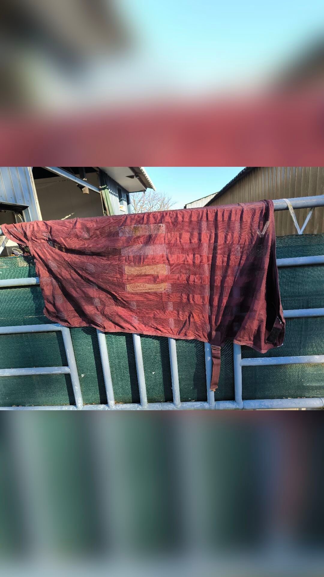 Chemise anti mouche, média 3