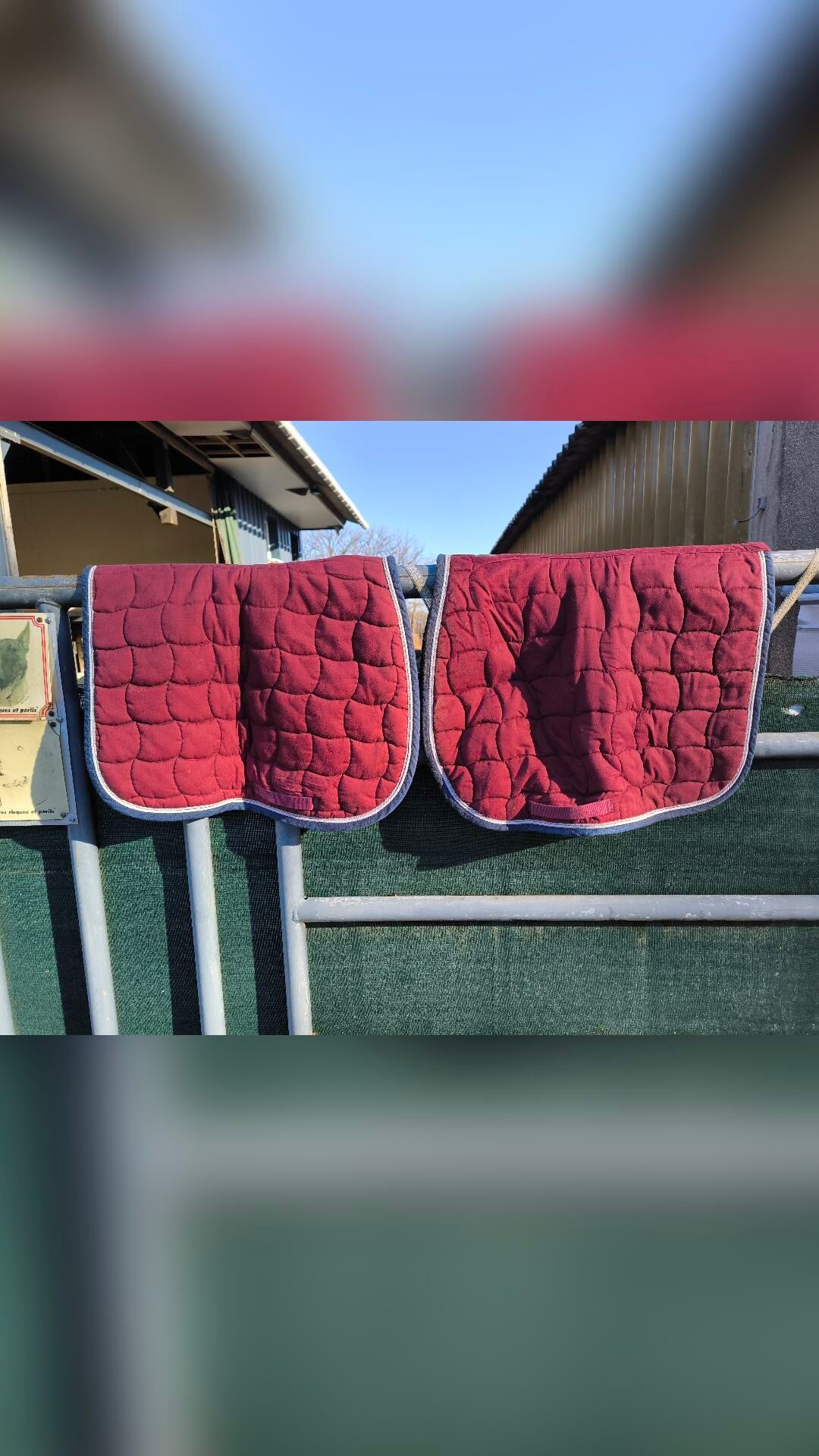 Tapis Harcour, média 2