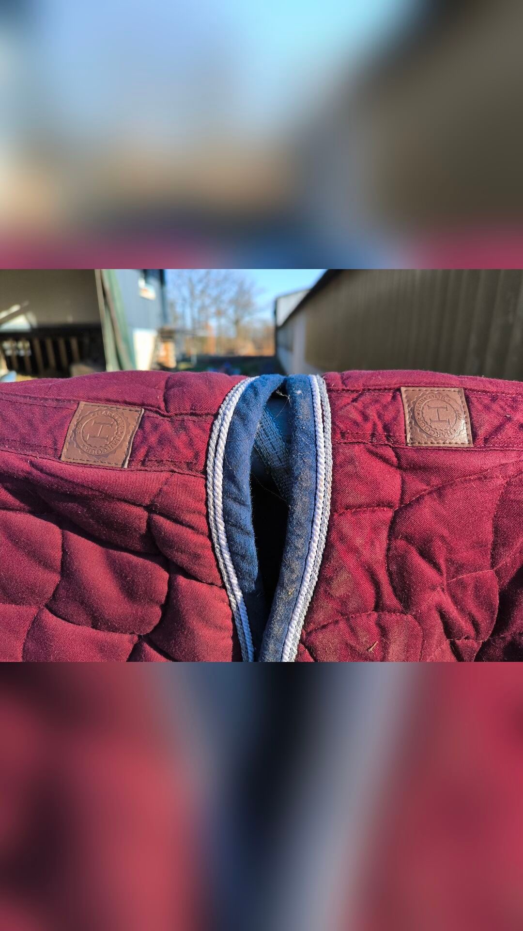Tapis Harcour, média 3